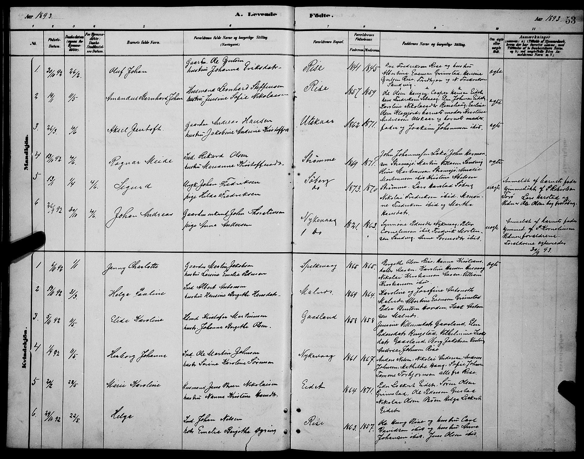 Ministerialprotokoller, klokkerbøker og fødselsregistre - Nordland, AV/SAT-A-1459/892/L1325: Parish register (copy) no. 892C02, 1878-1896, p. 53