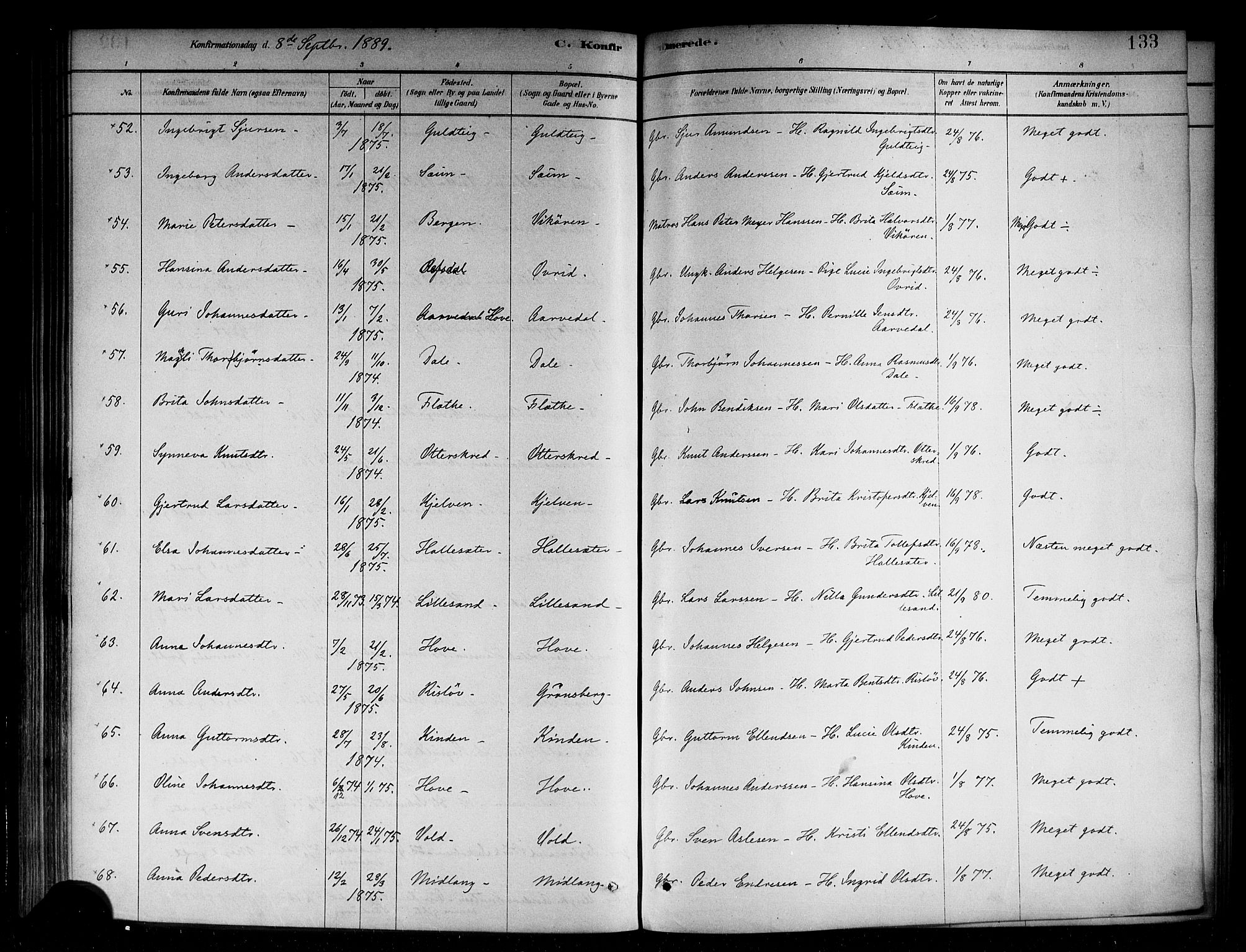 Vik sokneprestembete, AV/SAB-A-81501/H/Haa/Haab/L0001: Parish register (official) no. B 1, 1878-1890, p. 133