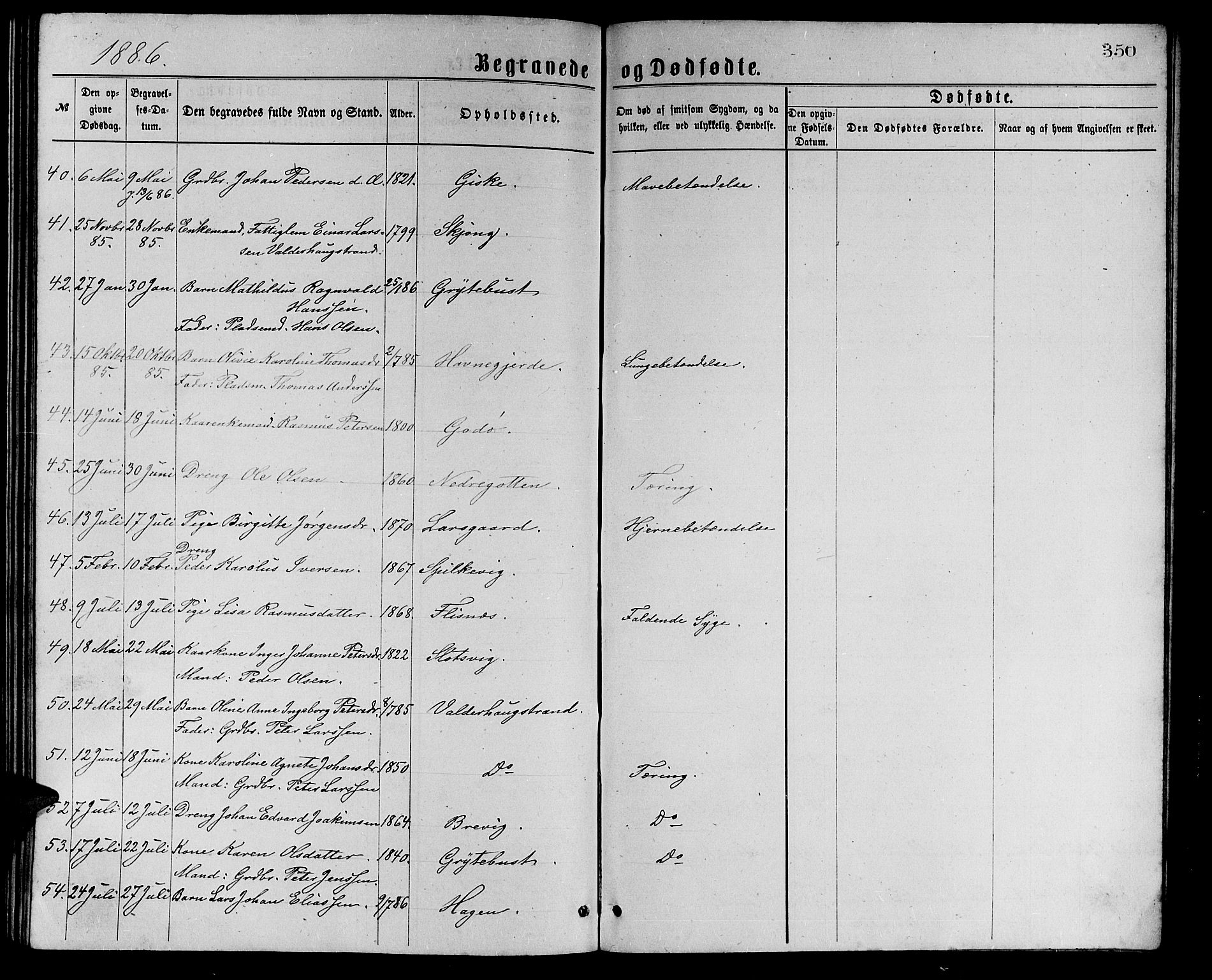 Ministerialprotokoller, klokkerbøker og fødselsregistre - Møre og Romsdal, AV/SAT-A-1454/528/L0429: Parish register (copy) no. 528C10, 1872-1886, p. 350