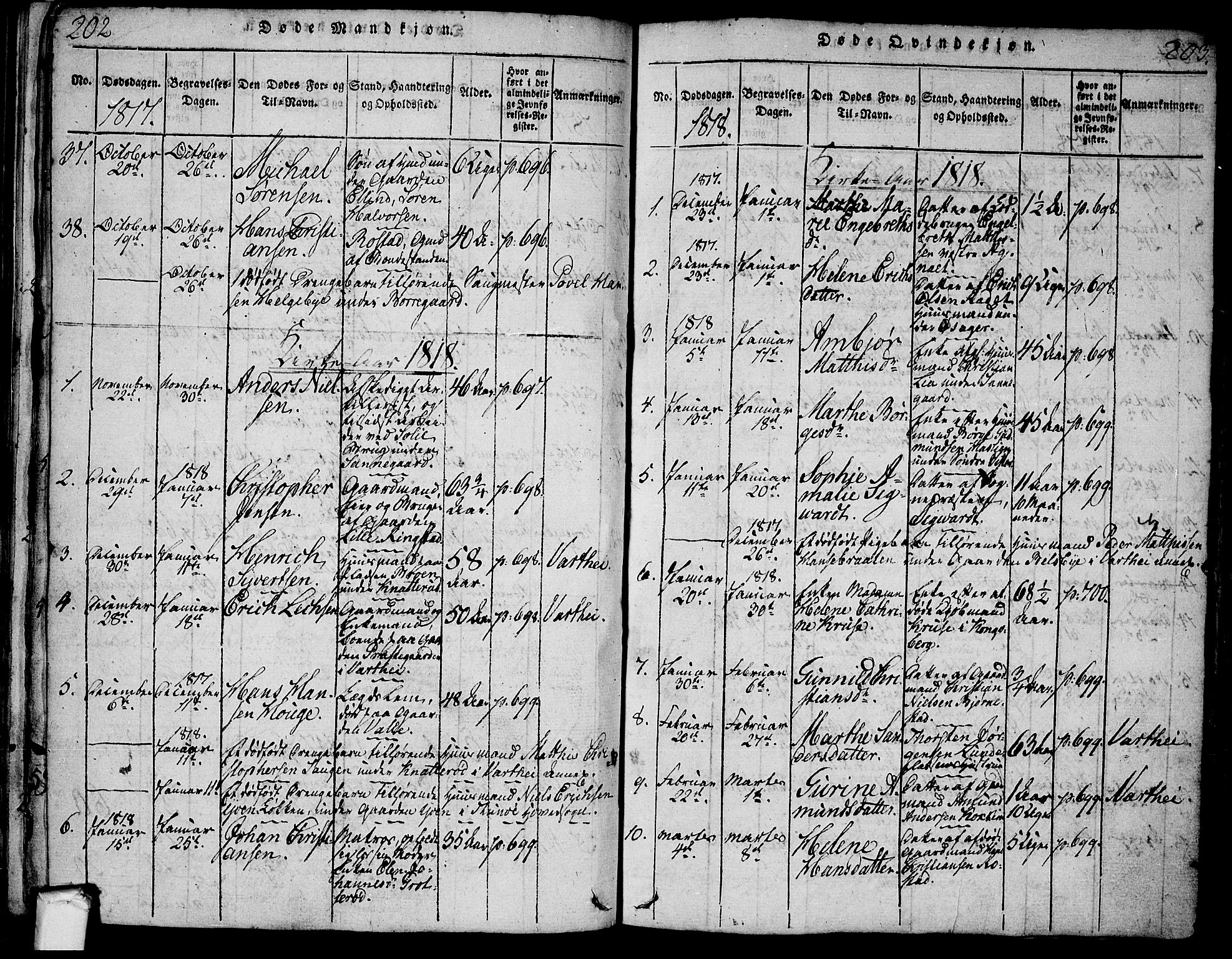 Tune prestekontor Kirkebøker, SAO/A-2007/F/Fa/L0005: Parish register (official) no. 5, 1815-1823, p. 202-203