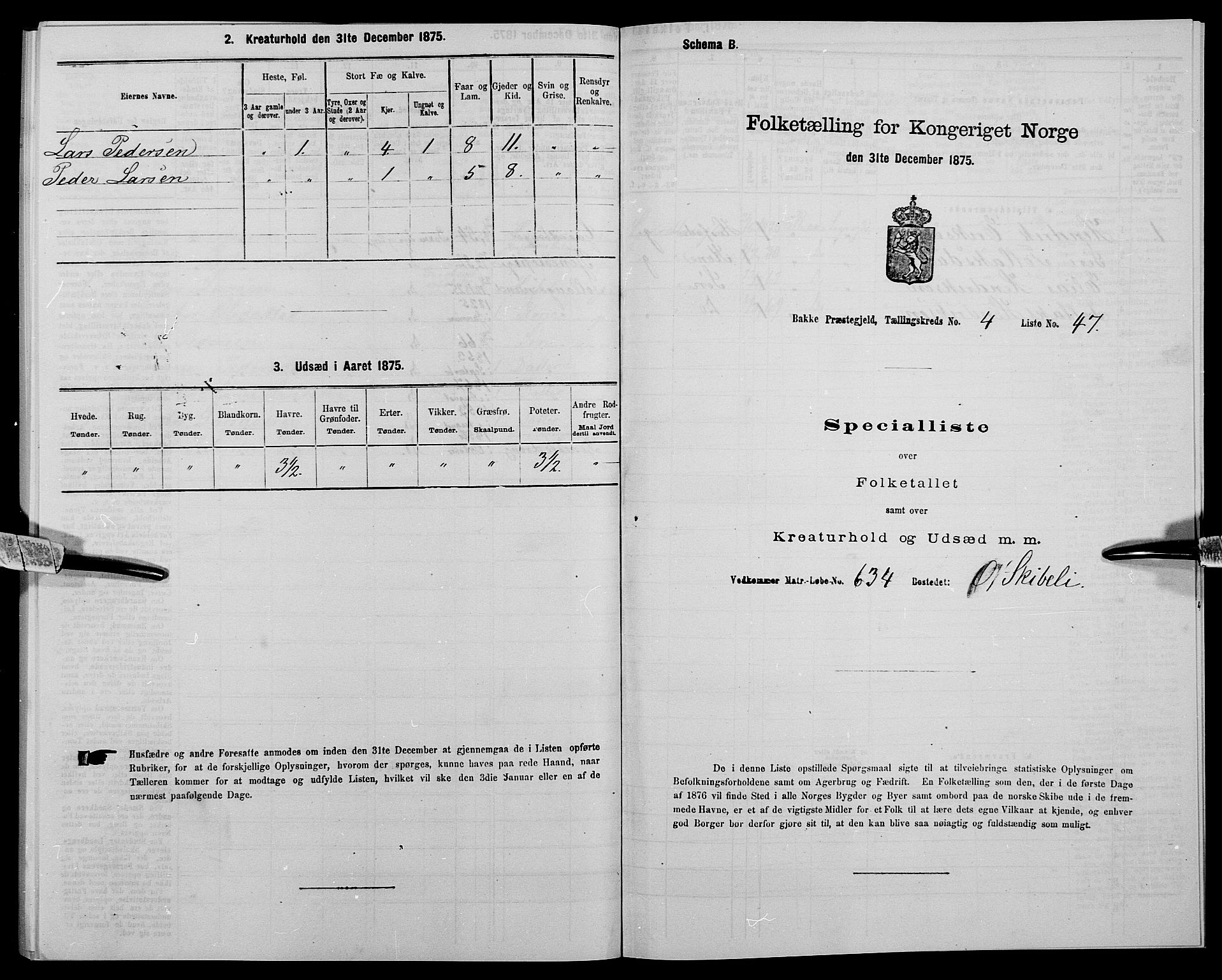 SAK, 1875 census for 1045P Bakke, 1875, p. 476