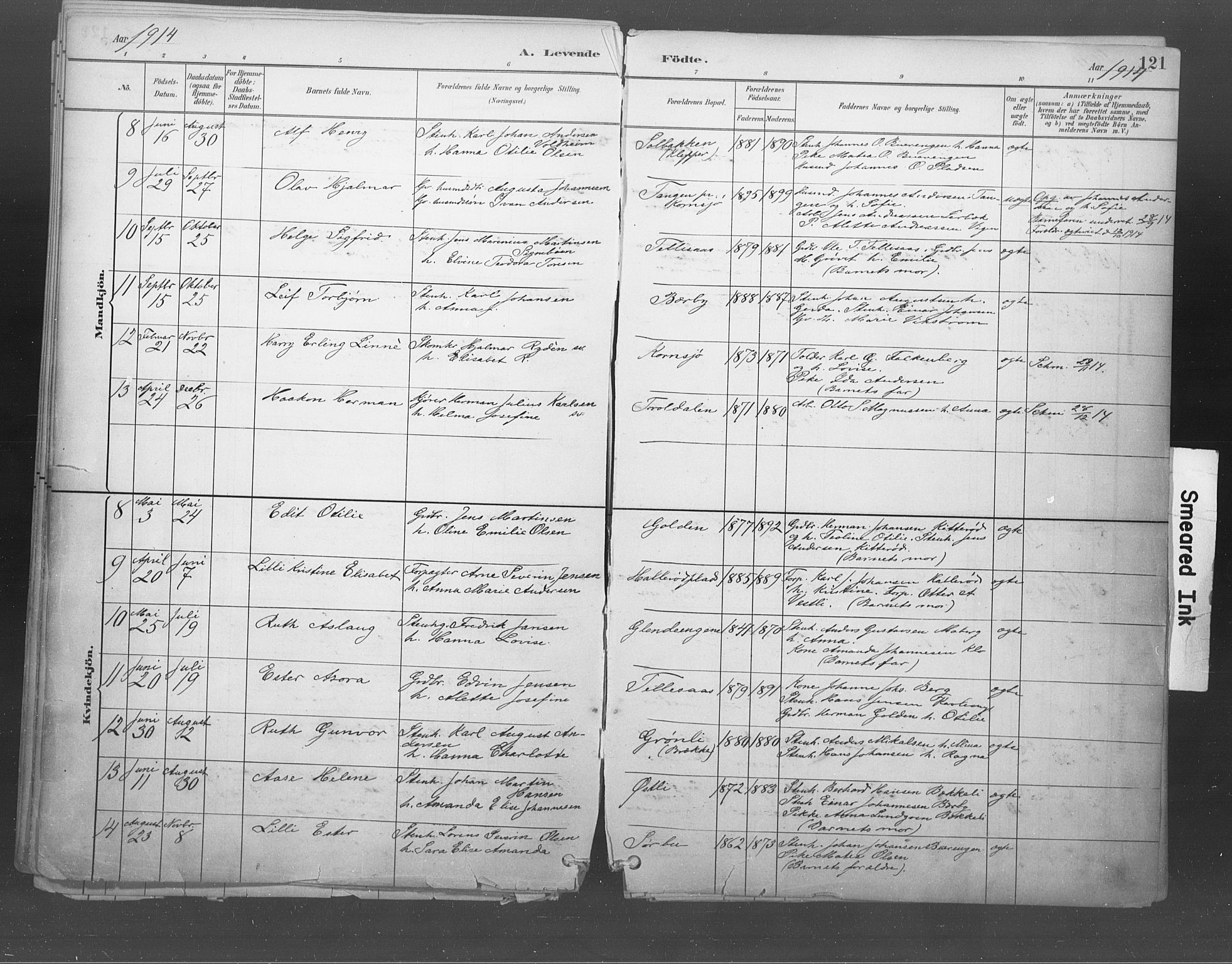 Idd prestekontor Kirkebøker, AV/SAO-A-10911/F/Fb/L0002: Parish register (official) no. II 2, 1882-1923, p. 121