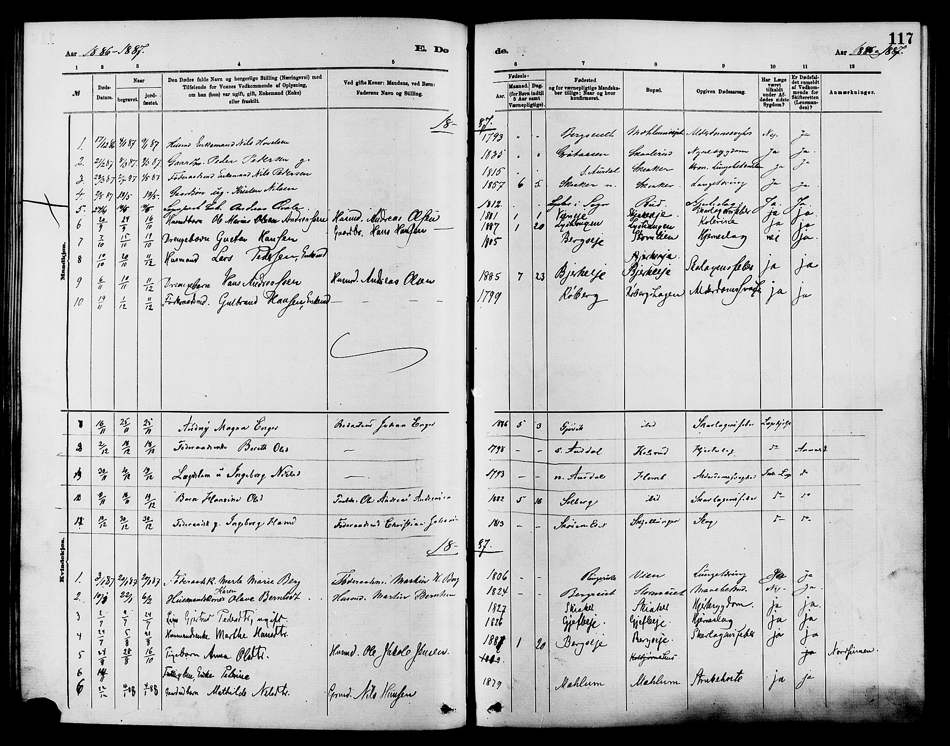 Nordre Land prestekontor, SAH/PREST-124/H/Ha/Haa/L0003: Parish register (official) no. 3, 1882-1896, p. 117