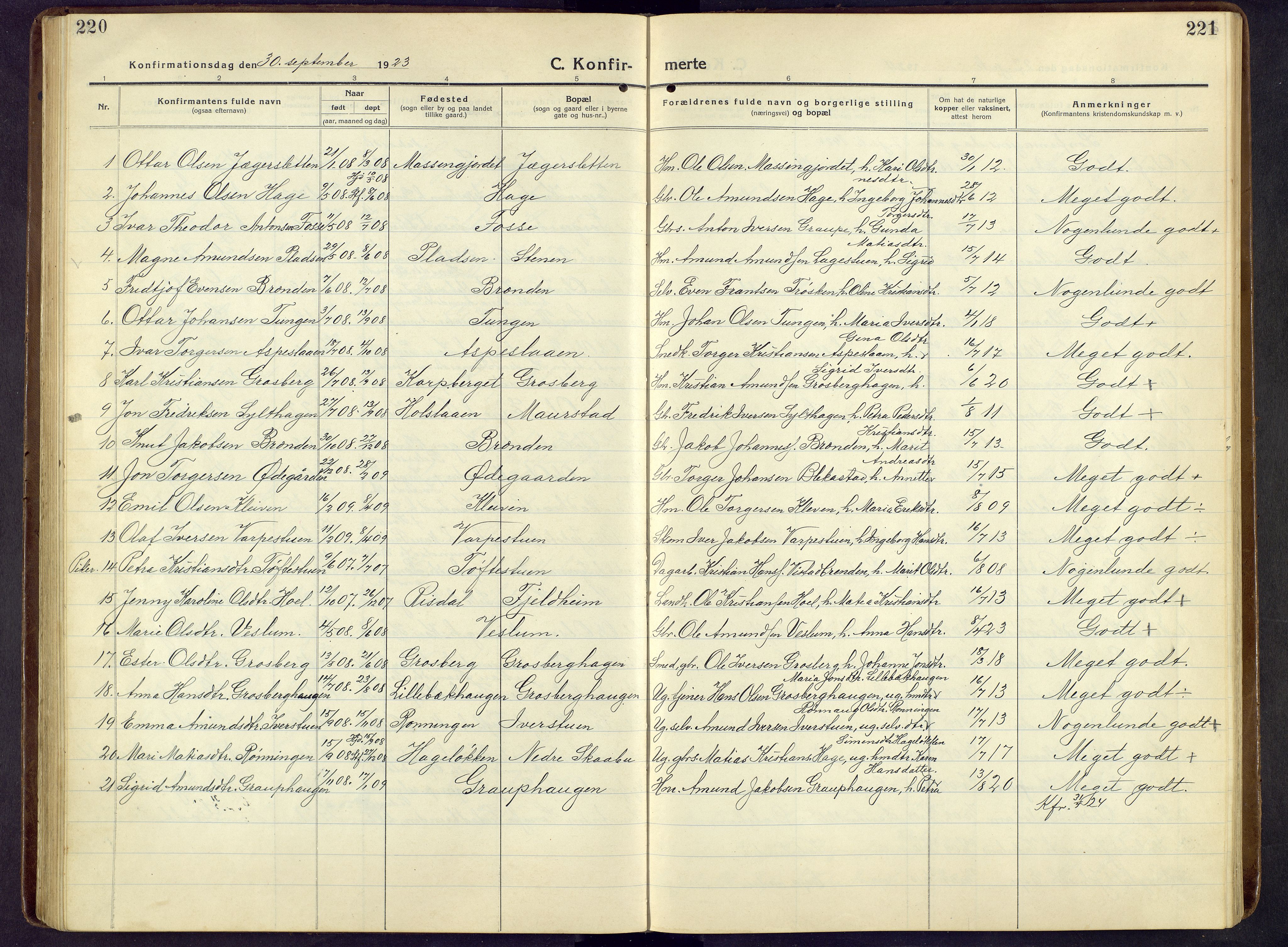 Nord-Fron prestekontor, SAH/PREST-080/H/Ha/Hab/L0009: Parish register (copy) no. 9, 1915-1958, p. 220-221