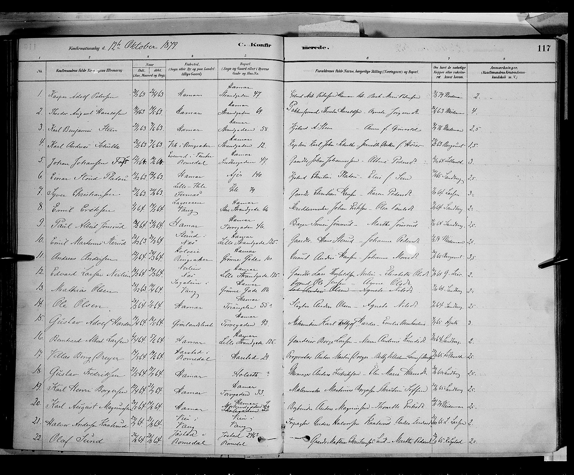 Vang prestekontor, Hedmark, SAH/PREST-008/H/Ha/Haa/L0016: Parish register (official) no. 16, 1878-1889, p. 117