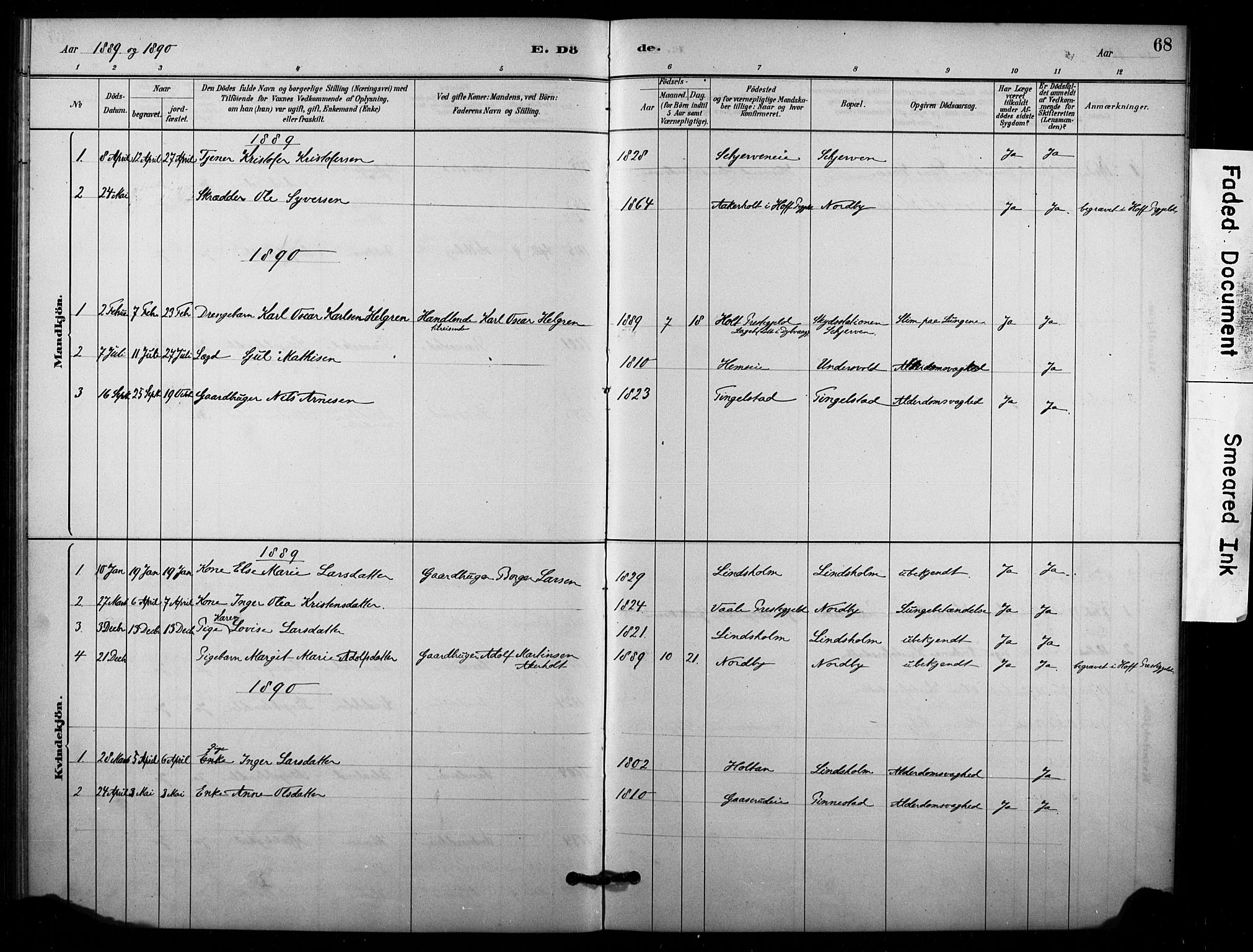 Lardal kirkebøker, SAKO/A-350/F/Fc/L0001: Parish register (official) no. III 1, 1881-1906, p. 68