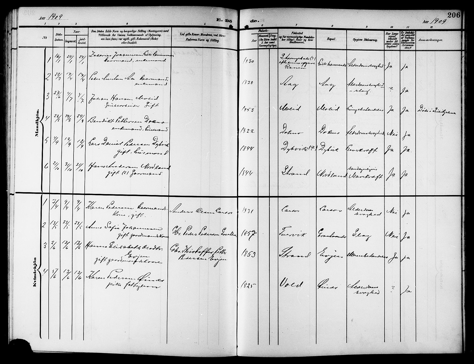 Ministerialprotokoller, klokkerbøker og fødselsregistre - Nordland, SAT/A-1459/846/L0655: Parish register (copy) no. 846C05, 1902-1916, p. 206