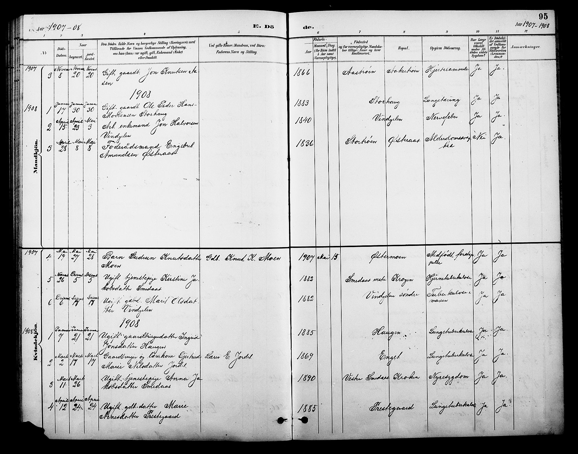 Tolga prestekontor, AV/SAH-PREST-062/L/L0010: Parish register (copy) no. 10, 1894-1918, p. 95