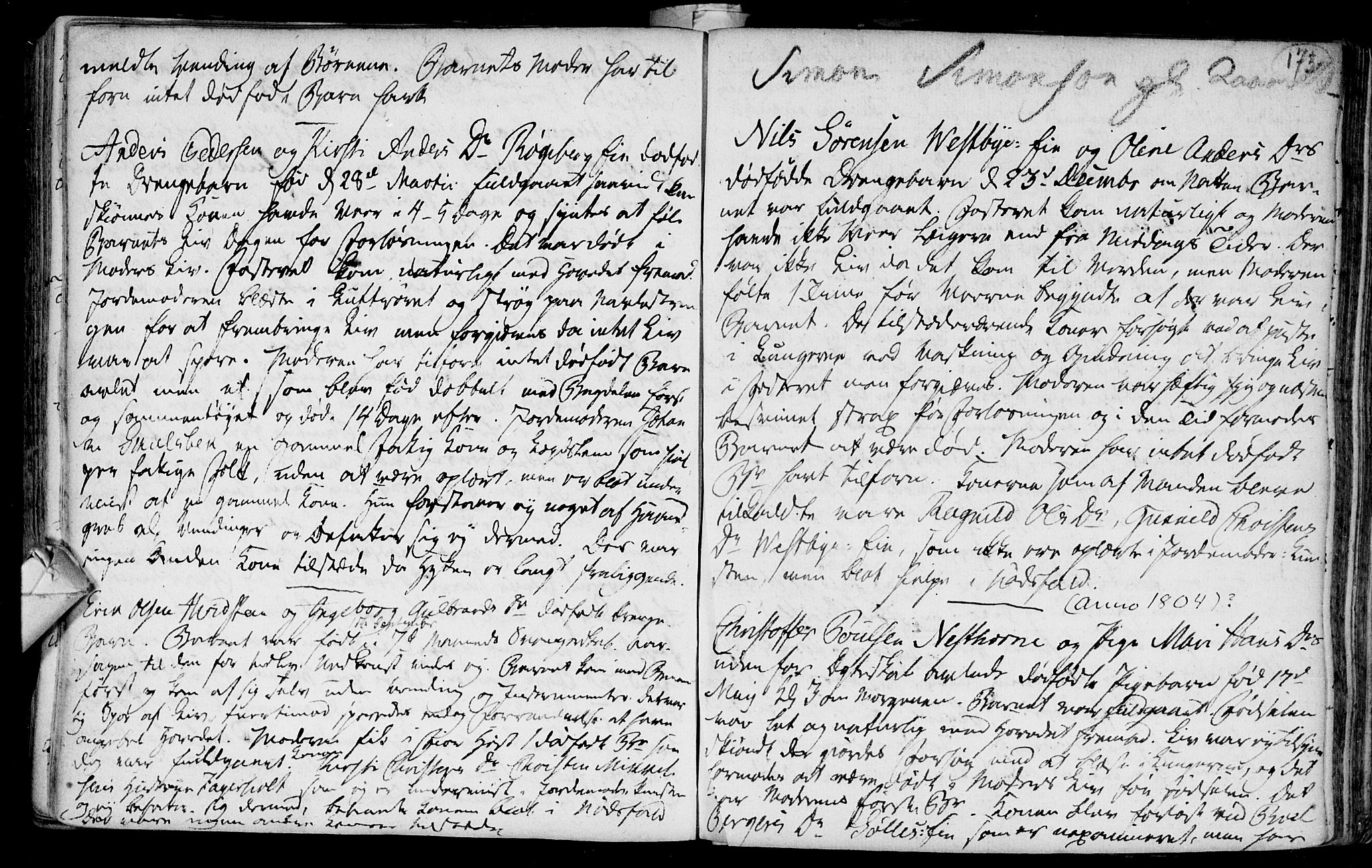 Eiker kirkebøker, AV/SAKO-A-4/F/Fa/L0007: Parish register (official) no. I 7 /1, 1733-1808, p. 173