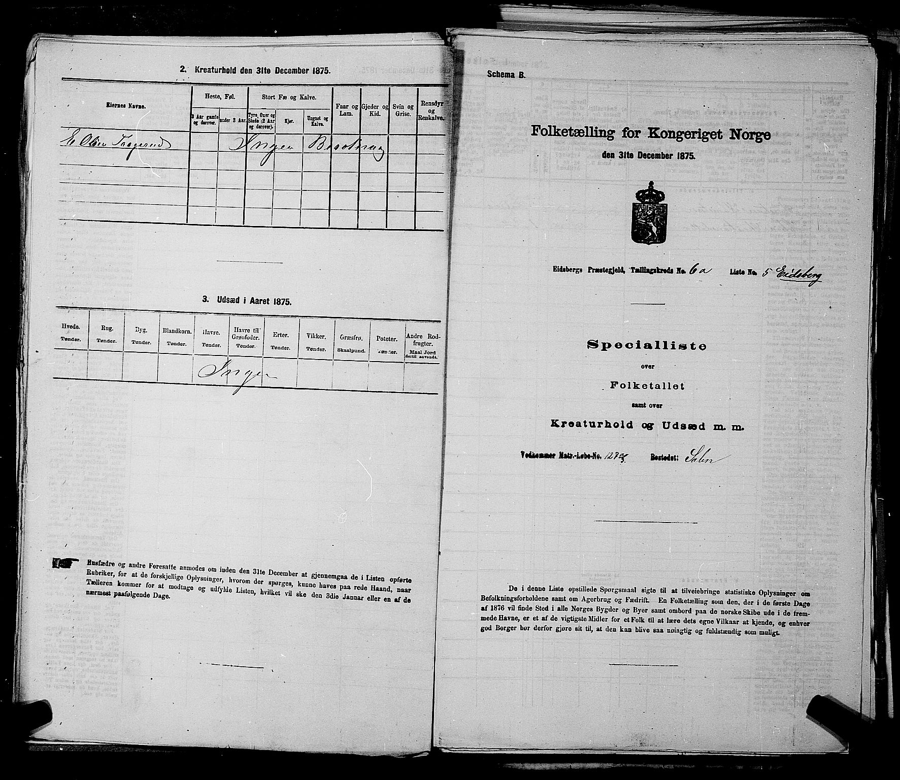 RA, 1875 census for 0125P Eidsberg, 1875, p. 1145