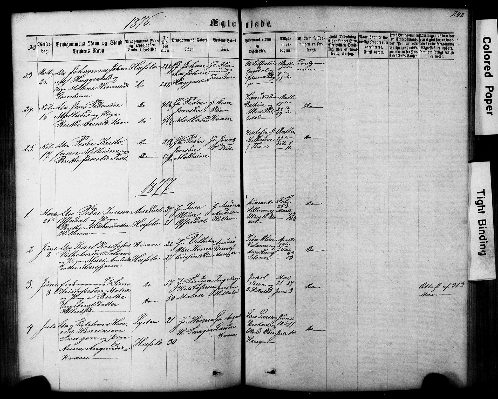 Hafslo sokneprestembete, SAB/A-80301/H/Hab/Haba/L0001: Parish register (copy) no. A 1, 1866-1908, p. 242