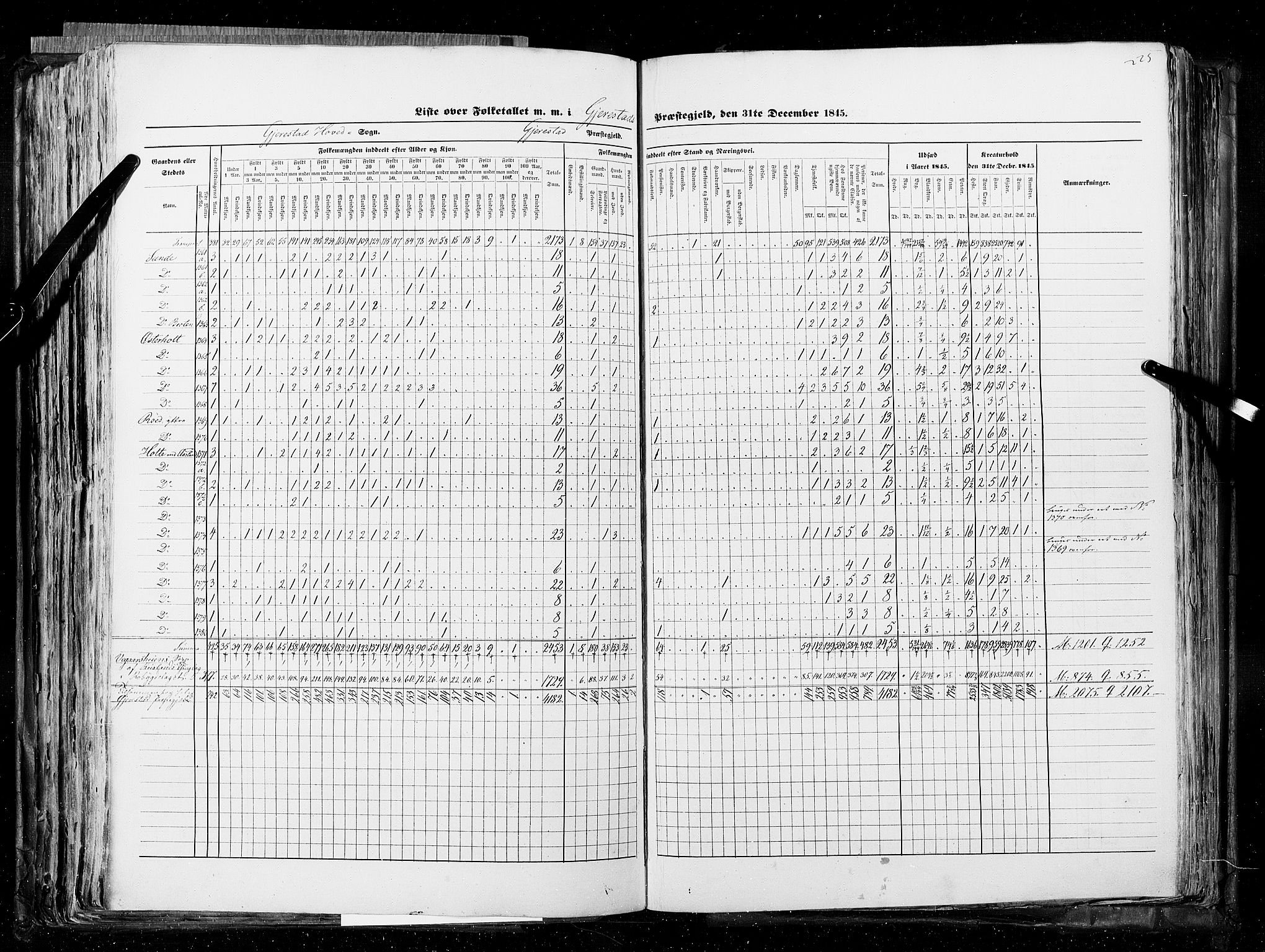 RA, Census 1845, vol. 5: Bratsberg amt og Nedenes og Råbyggelaget amt, 1845, p. 225