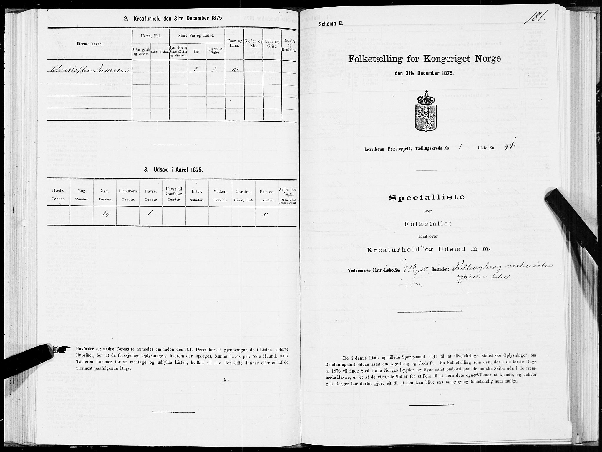 SAT, 1875 census for 1718P Leksvik, 1875, p. 1181