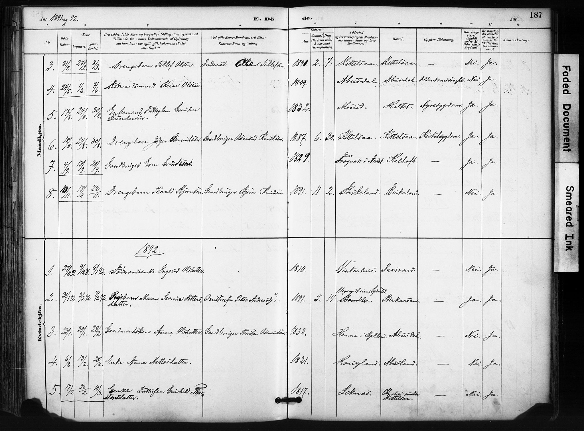 Evje sokneprestkontor, SAK/1111-0008/F/Fa/Fab/L0003: Parish register (official) no. A 3, 1884-1909, p. 187