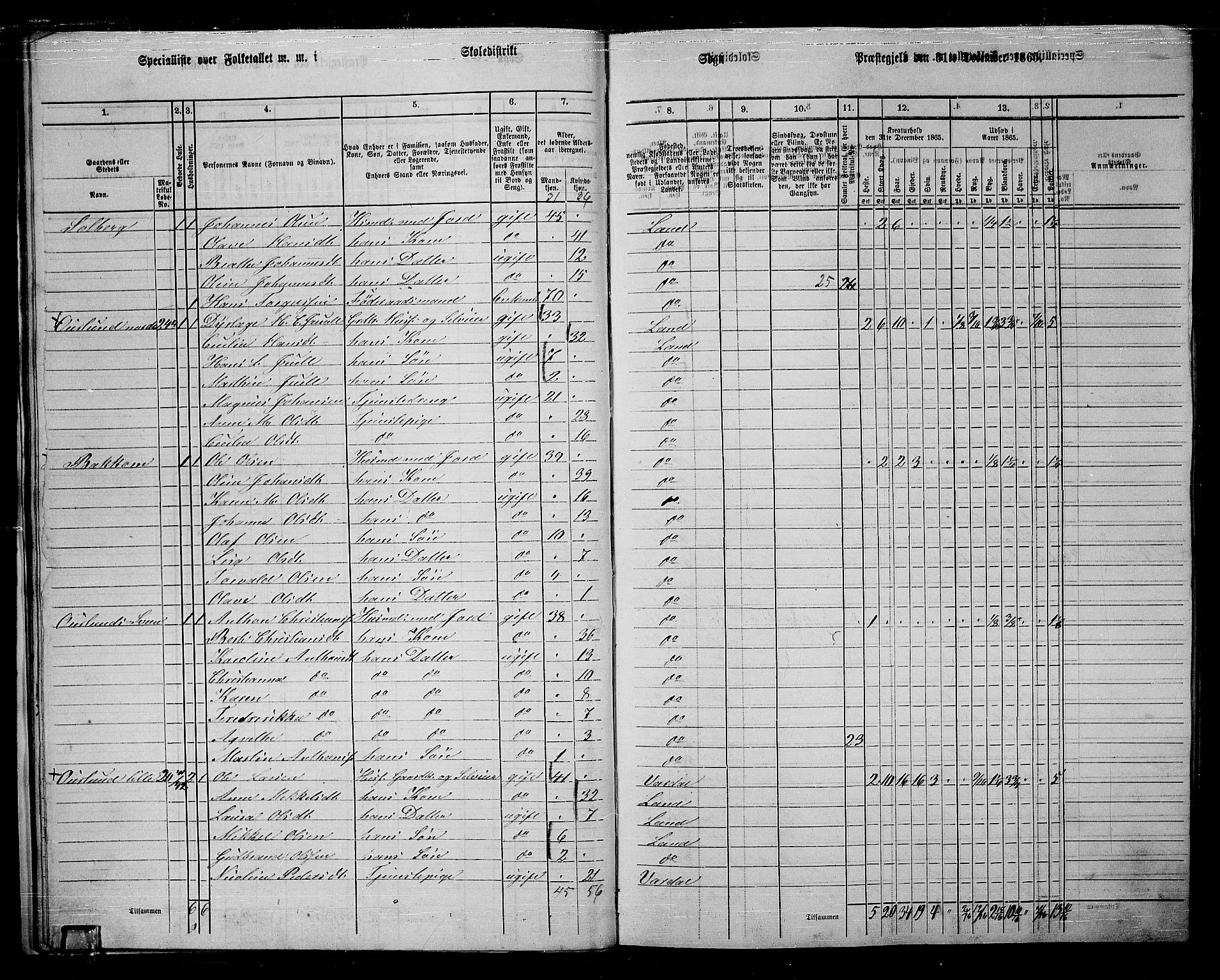 RA, 1865 census for Land, 1865, p. 233