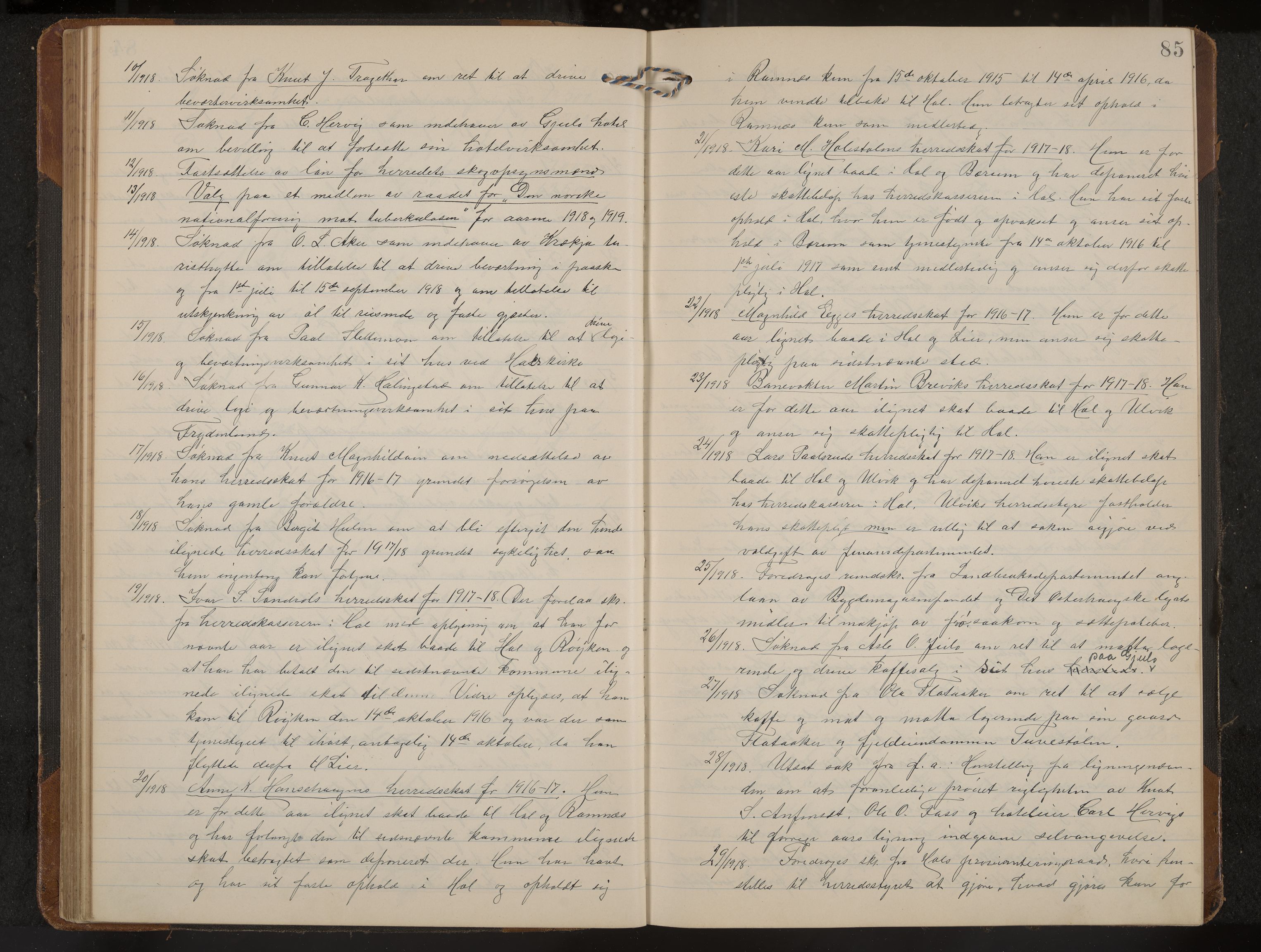 Hol formannskap og sentraladministrasjon, IKAK/0620021-1/A/L0006: Møtebok, 1916-1922, p. 85