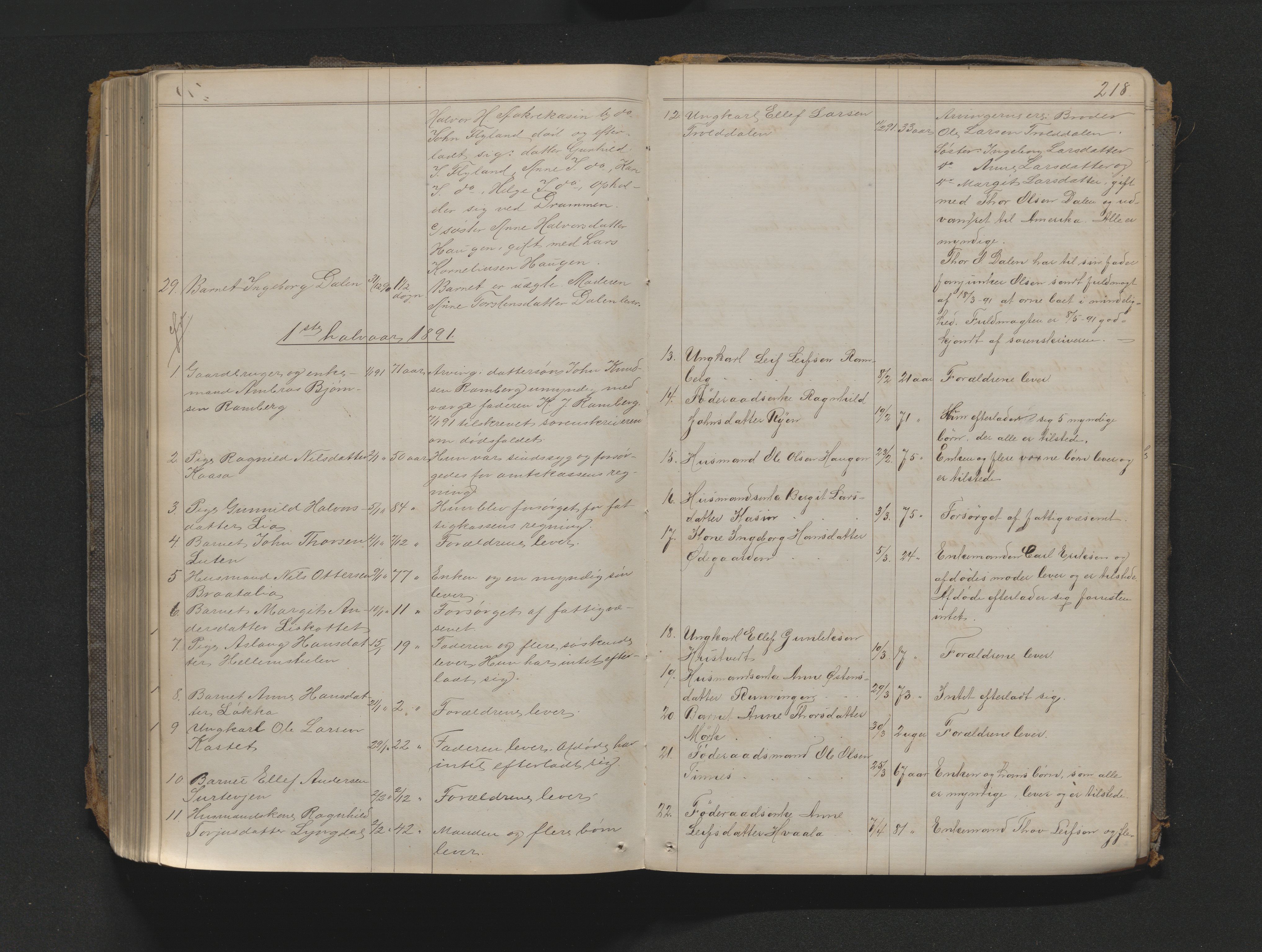 Nedre Telemark sorenskriveri, AV/SAKO-A-135/H/Ha/Haa/L0001: Dødsanmeldeldelsesprotokoll, 1867-1901, p. 217b-218a