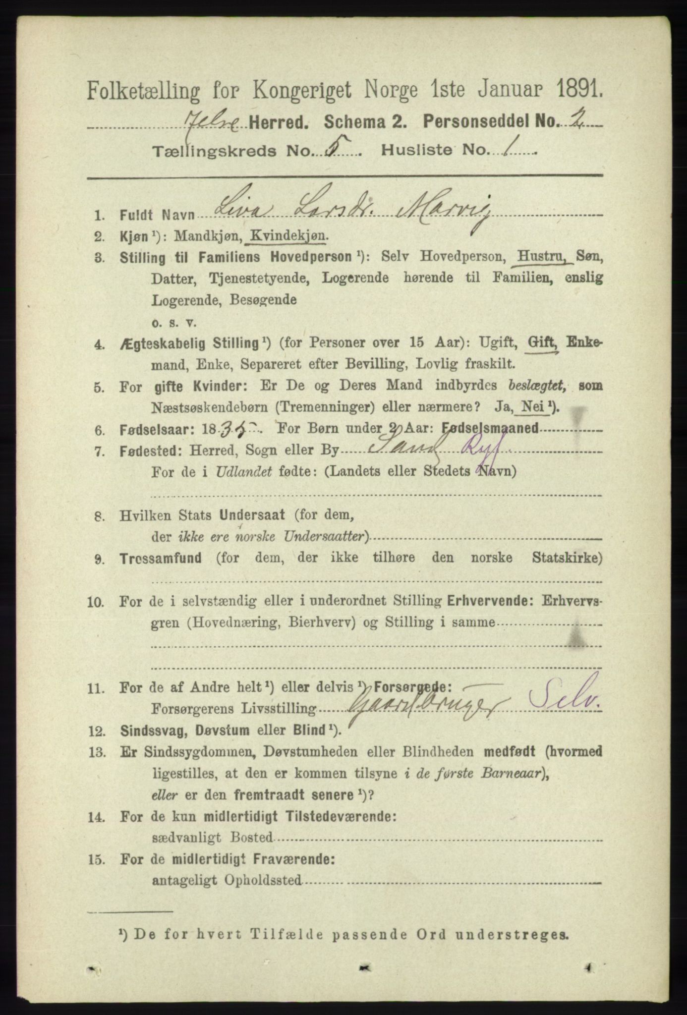 RA, 1891 census for 1138 Jelsa, 1891, p. 1064