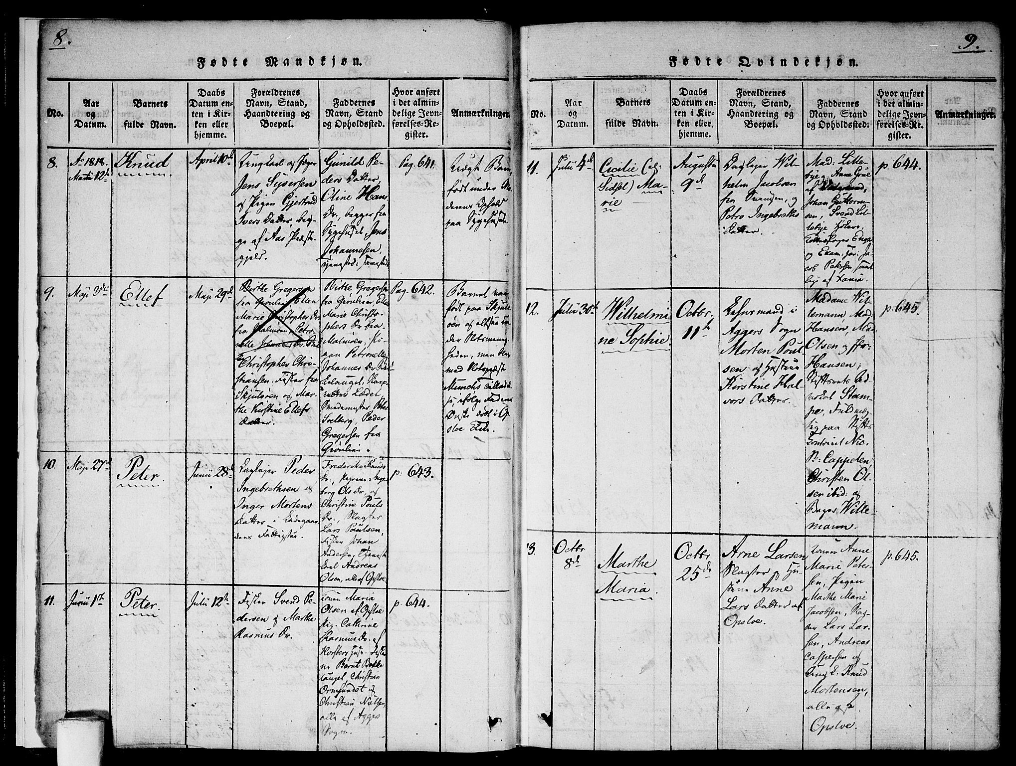 Gamlebyen prestekontor Kirkebøker, AV/SAO-A-10884/F/Fa/L0002: Parish register (official) no. 2, 1817-1829, p. 8-9