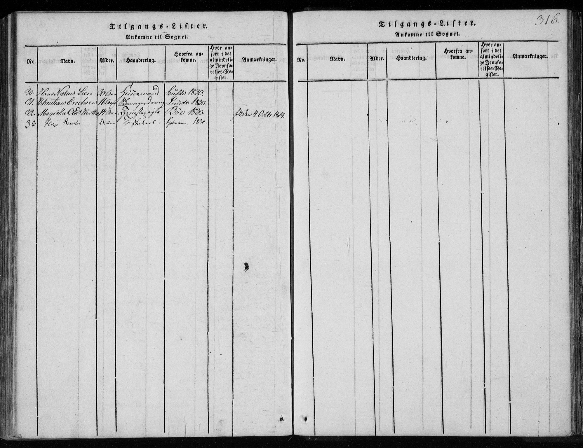 Holla kirkebøker, SAKO/A-272/F/Fa/L0003: Parish register (official) no. 3, 1815-1830, p. 316