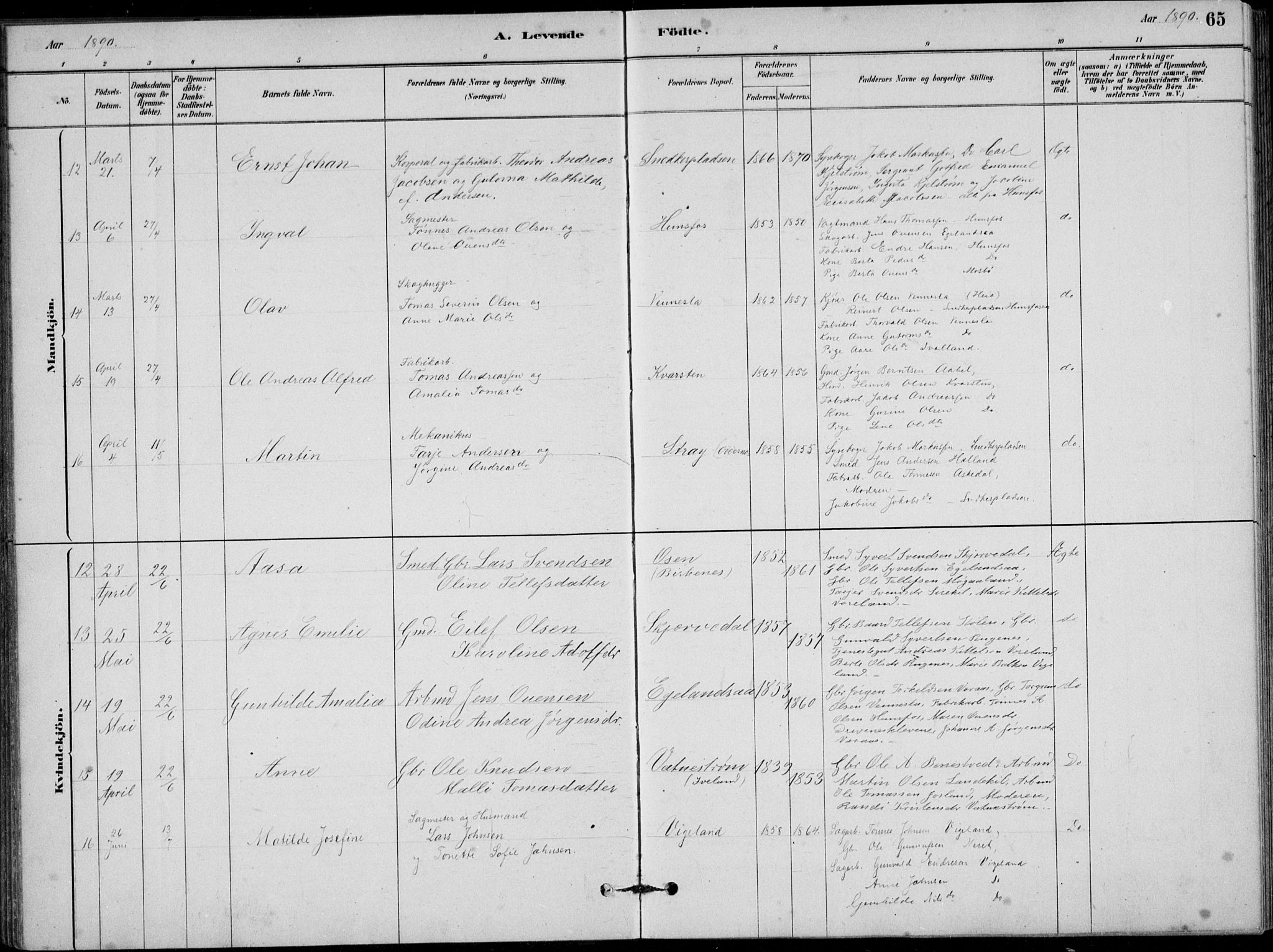 Vennesla sokneprestkontor, AV/SAK-1111-0045/Fb/Fbb/L0003: Parish register (copy) no. B 3, 1879-1893, p. 65