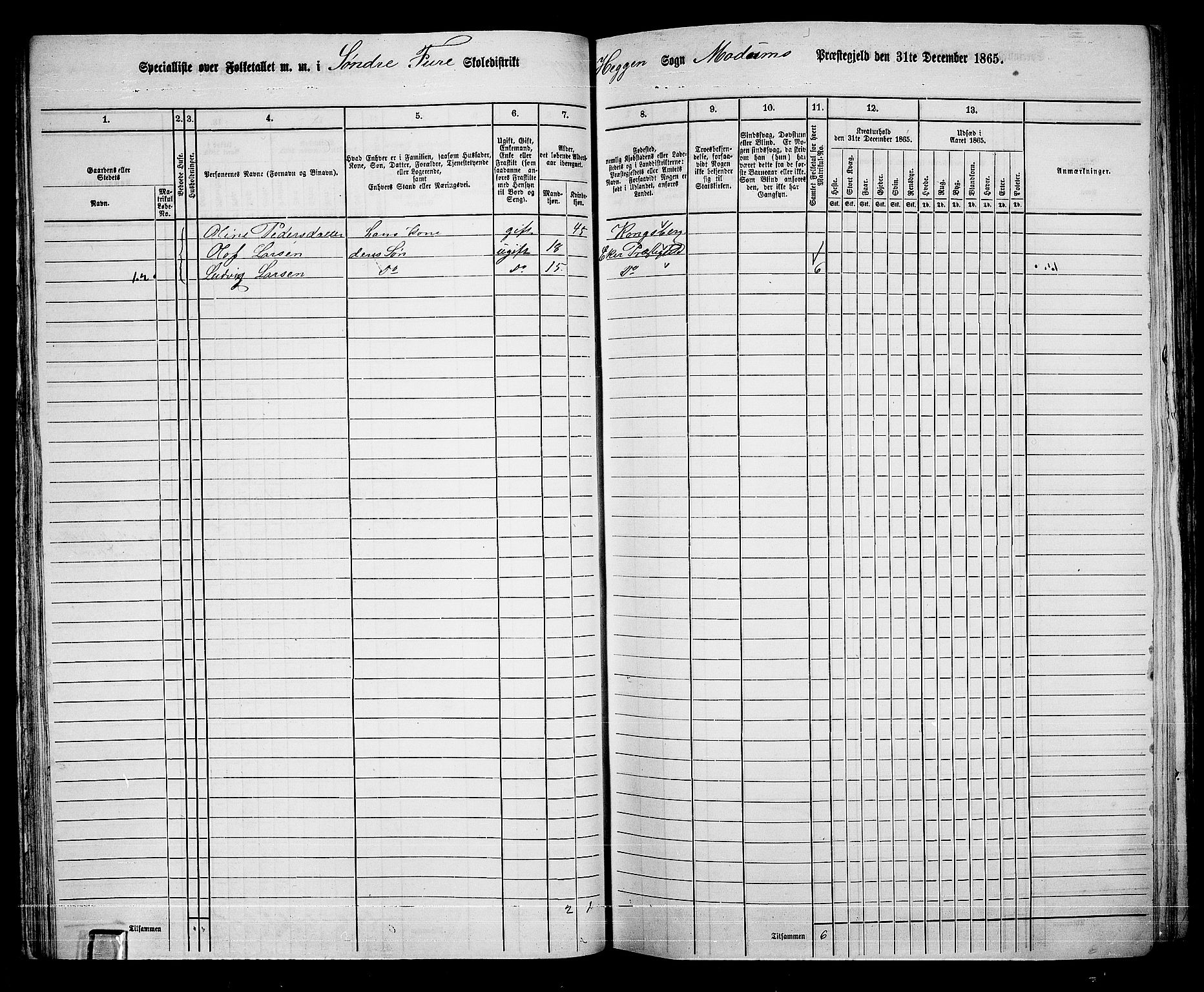 RA, 1865 census for Modum, 1865, p. 51