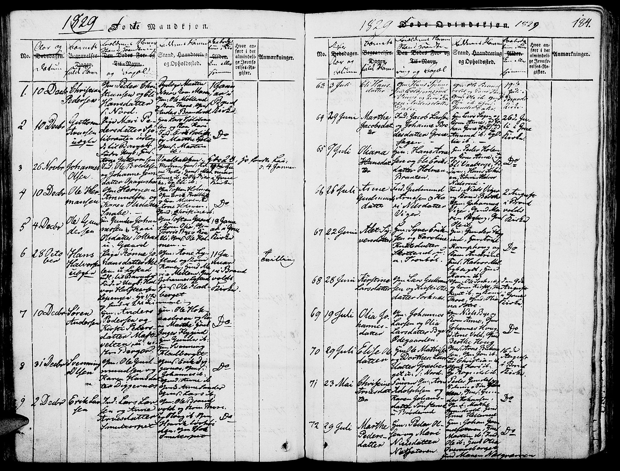 Grue prestekontor, AV/SAH-PREST-036/H/Ha/Haa/L0006: Parish register (official) no. 6, 1814-1830, p. 184