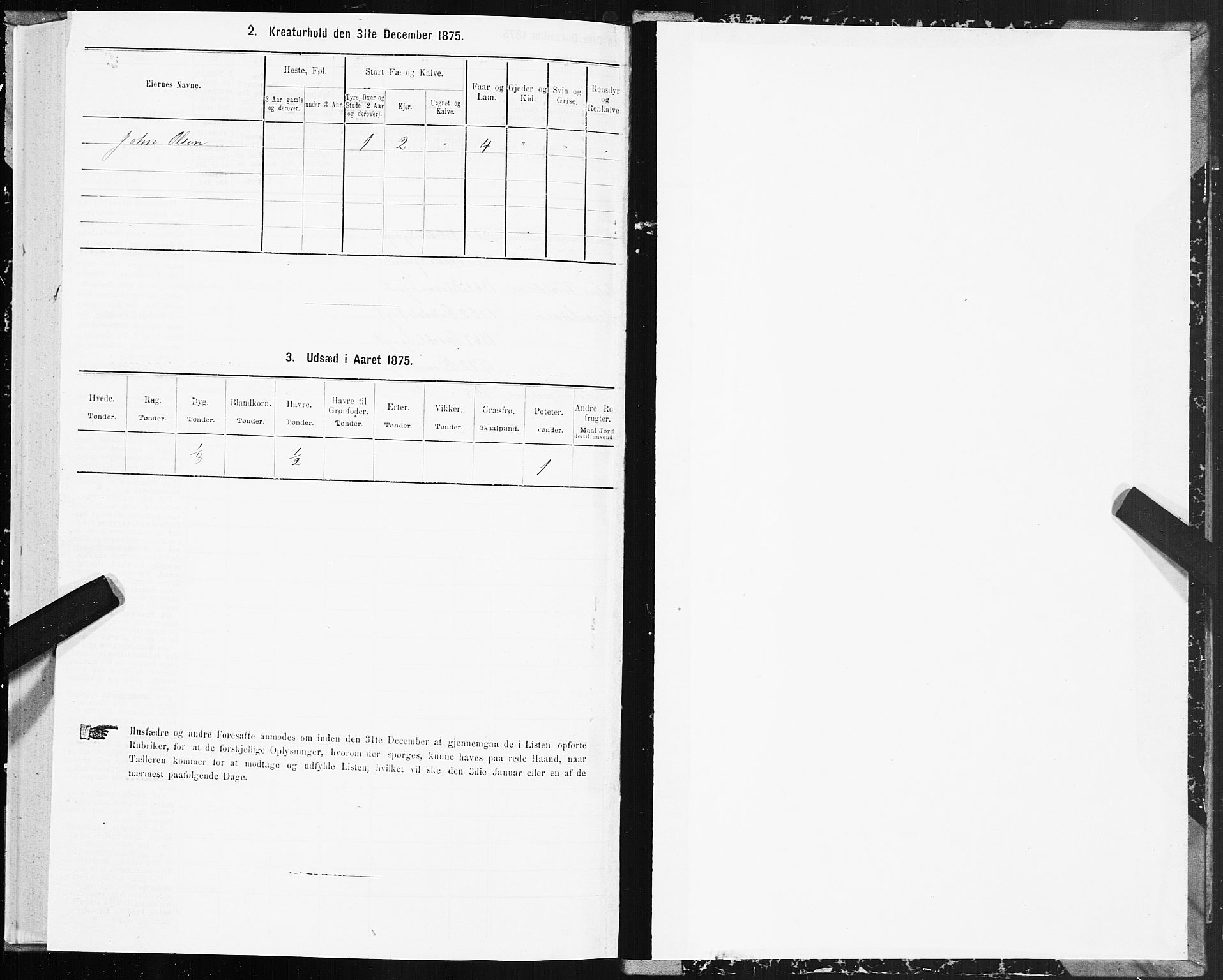 SAT, 1875 census for 1658P Børsa, 1875