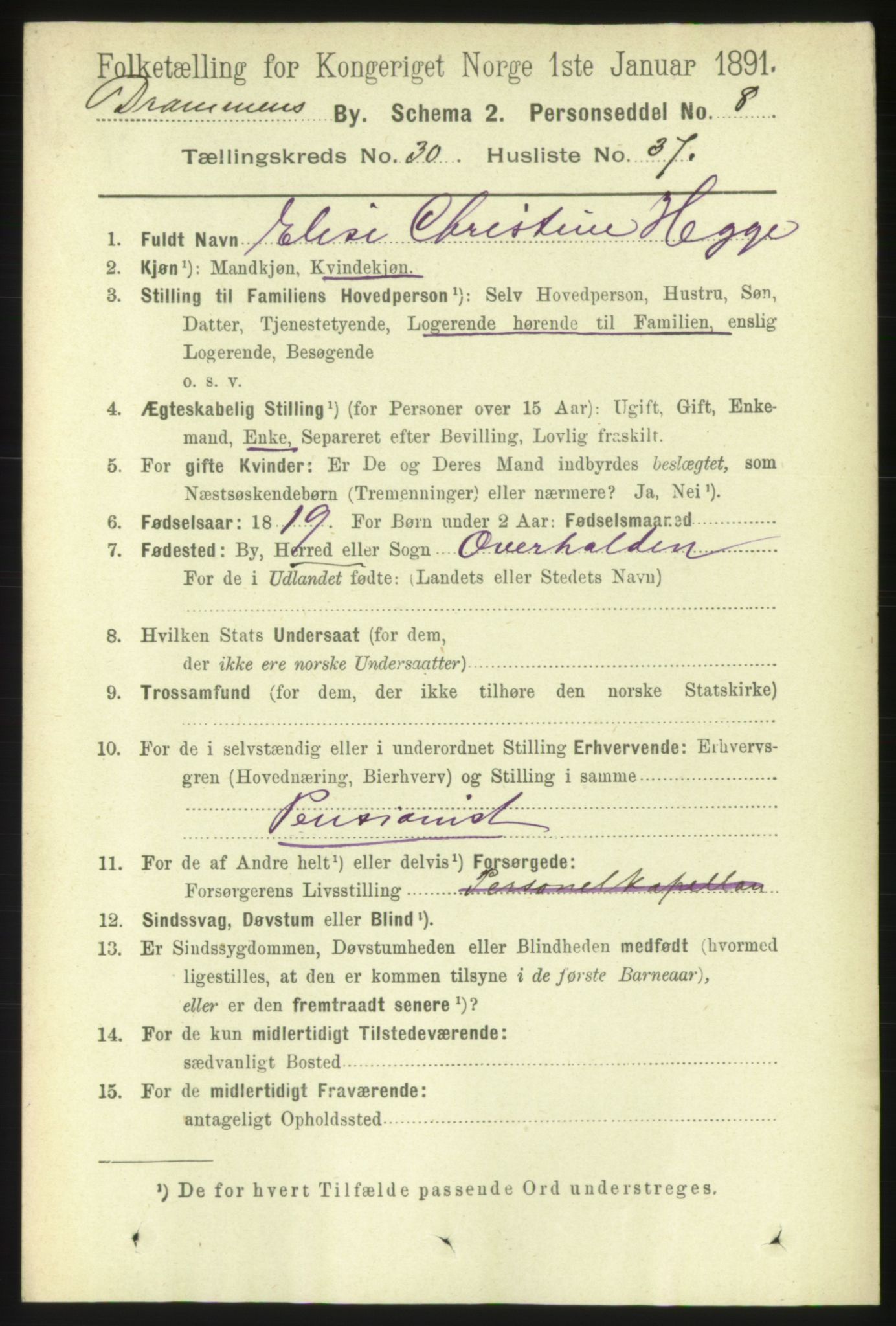 RA, 1891 census for 0602 Drammen, 1891, p. 18594