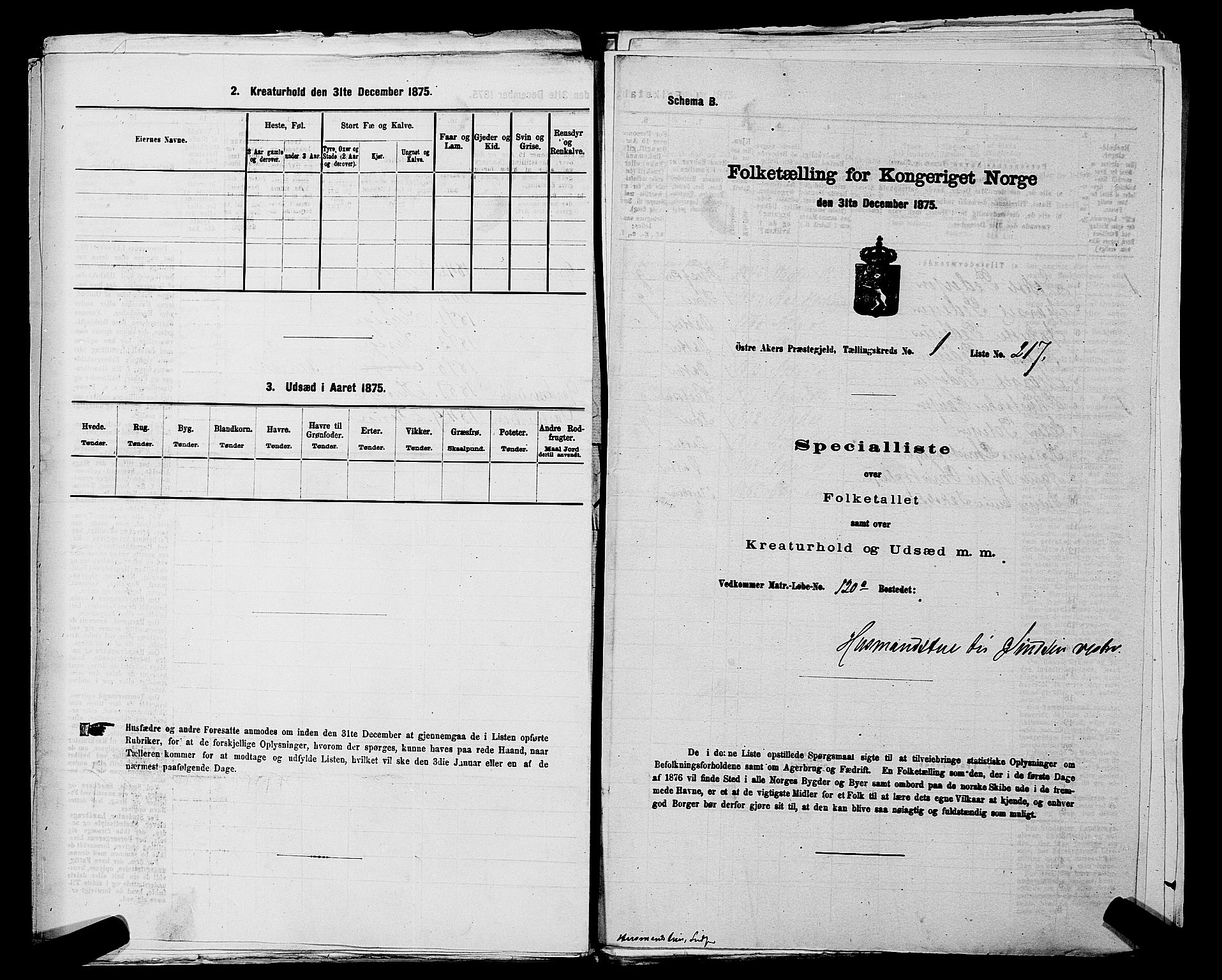 RA, 1875 census for 0218bP Østre Aker, 1875, p. 223