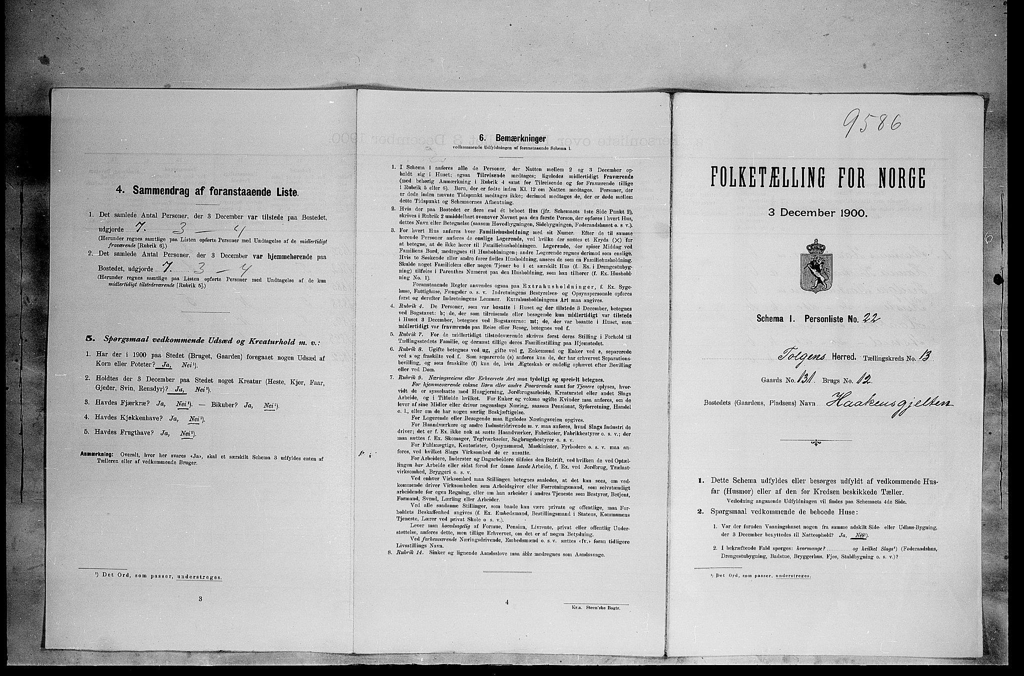 SAH, 1900 census for Tolga, 1900, p. 1234