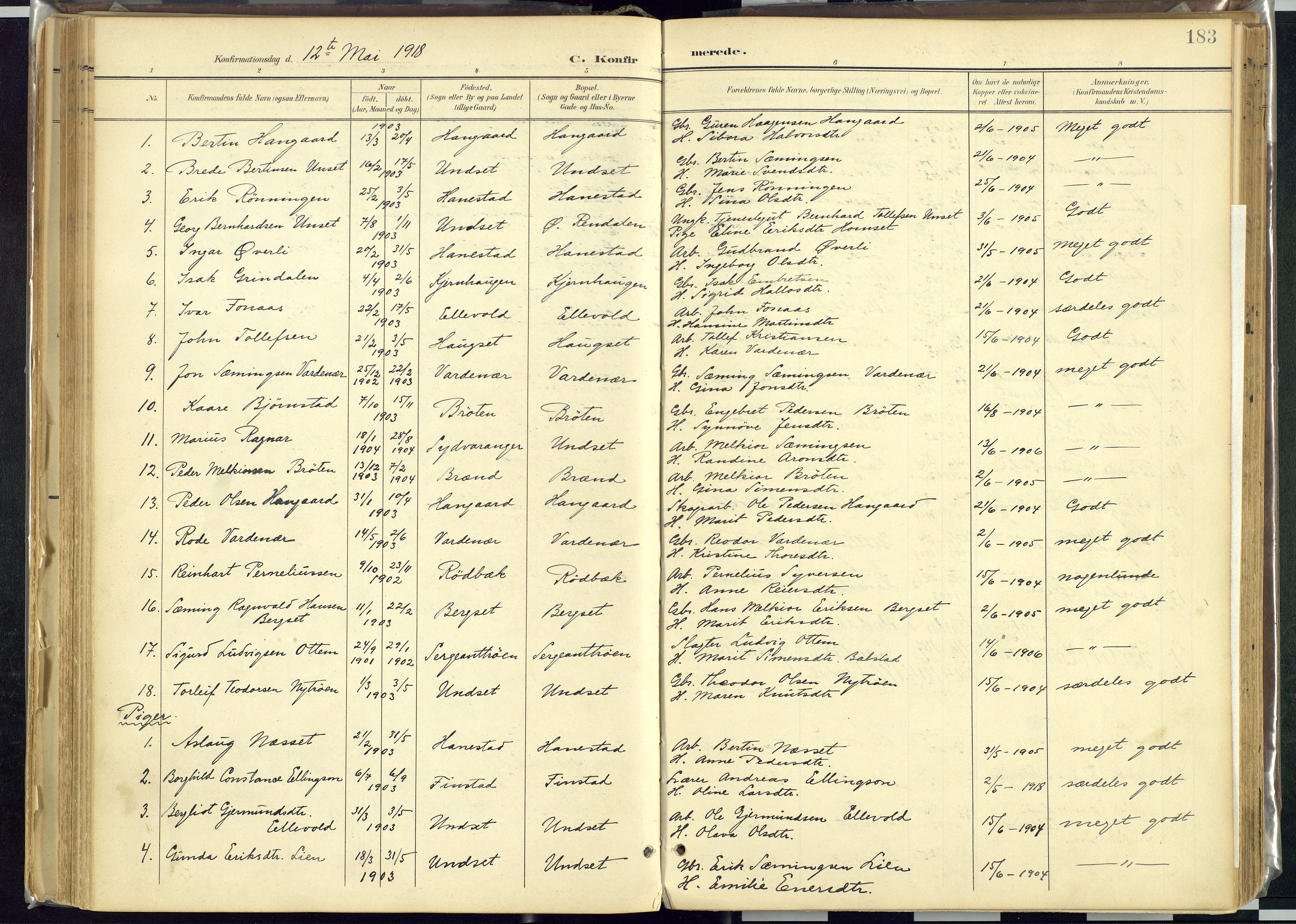 Rendalen prestekontor, SAH/PREST-054/H/Ha/Haa/L0012: Parish register (official) no. 12, 1901-1928, p. 183