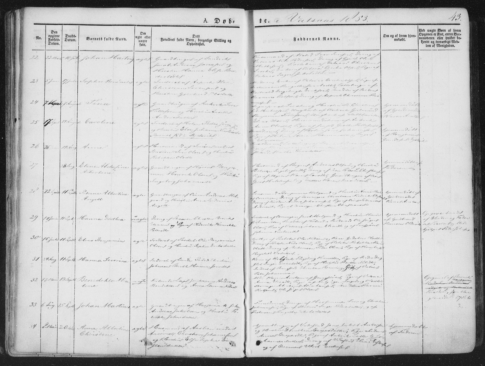 Ministerialprotokoller, klokkerbøker og fødselsregistre - Nordland, AV/SAT-A-1459/810/L0144: Parish register (official) no. 810A07 /1, 1841-1862, p. 43