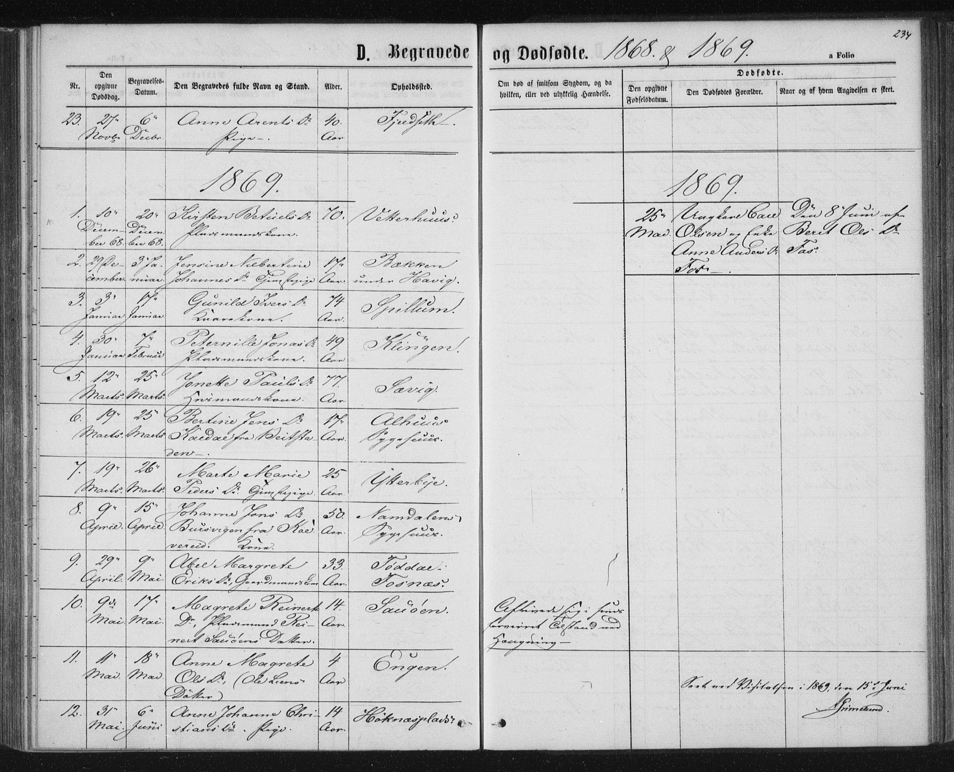 Ministerialprotokoller, klokkerbøker og fødselsregistre - Nord-Trøndelag, SAT/A-1458/768/L0570: Parish register (official) no. 768A05, 1865-1874, p. 234