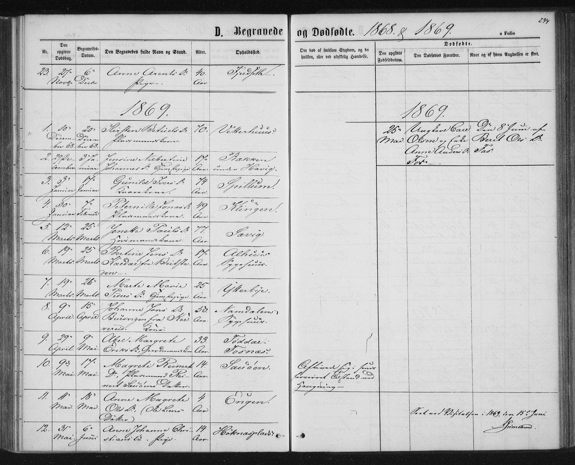 Ministerialprotokoller, klokkerbøker og fødselsregistre - Nord-Trøndelag, AV/SAT-A-1458/768/L0570: Parish register (official) no. 768A05, 1865-1874, p. 234