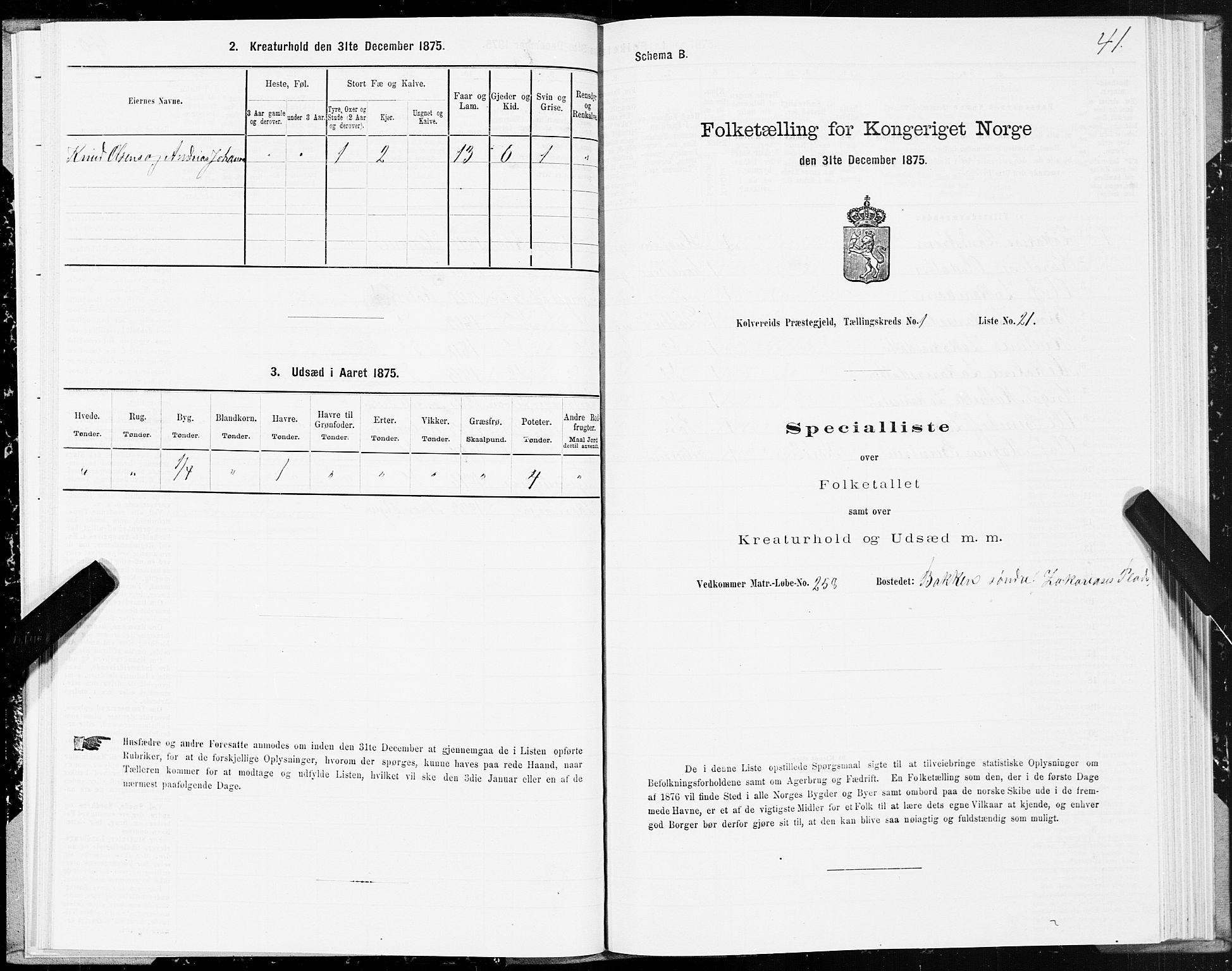 SAT, 1875 census for 1752P Kolvereid, 1875, p. 1041