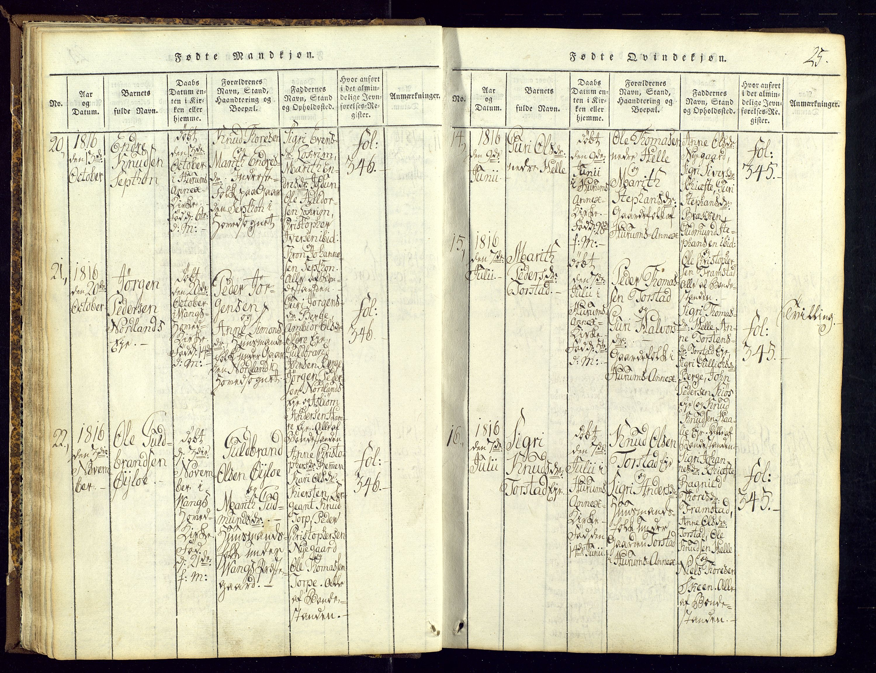 Vang prestekontor, Valdres, SAH/PREST-140/H/Ha/L0004: Parish register (official) no. 4, 1814-1831, p. 25
