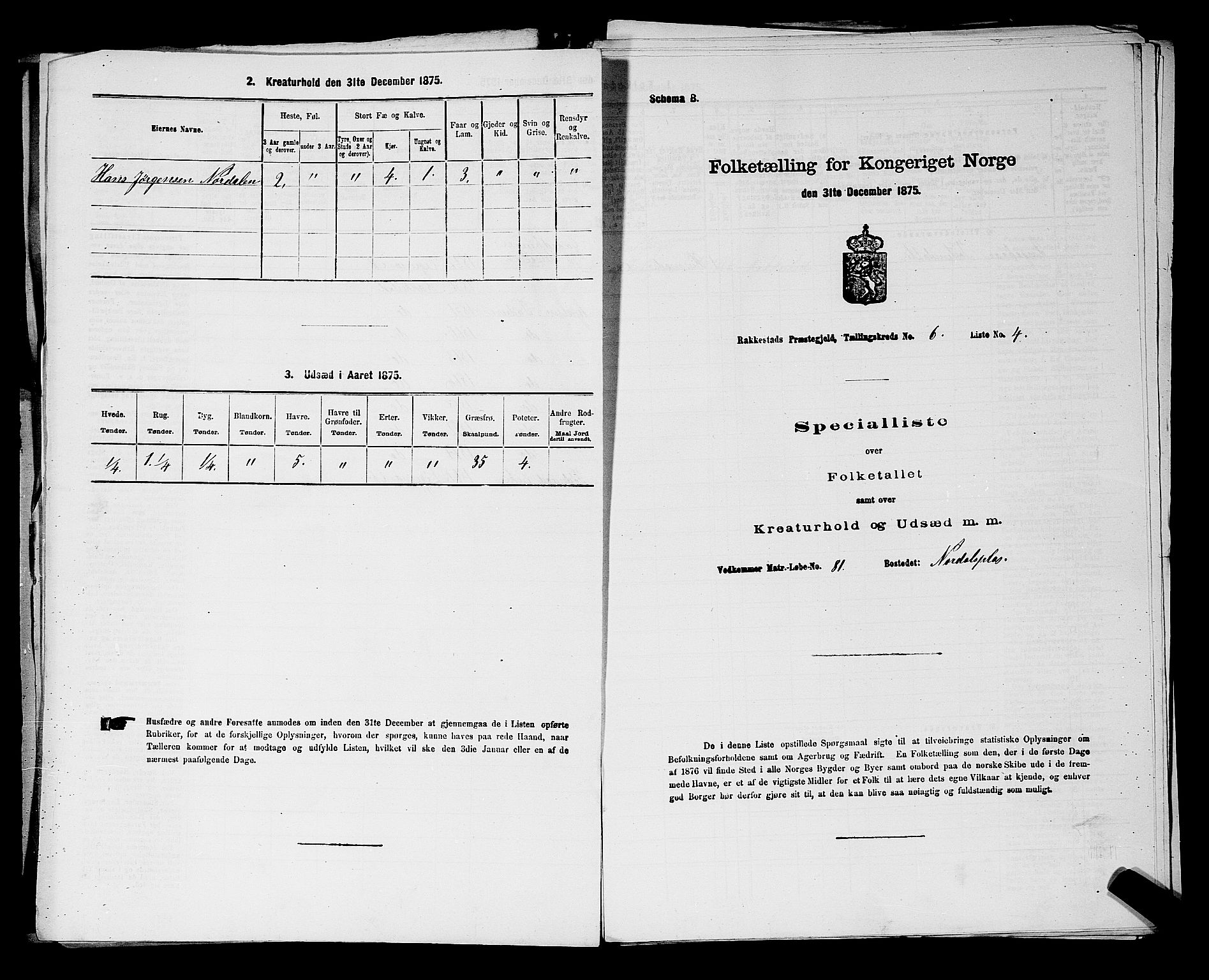 RA, 1875 census for 0128P Rakkestad, 1875, p. 676