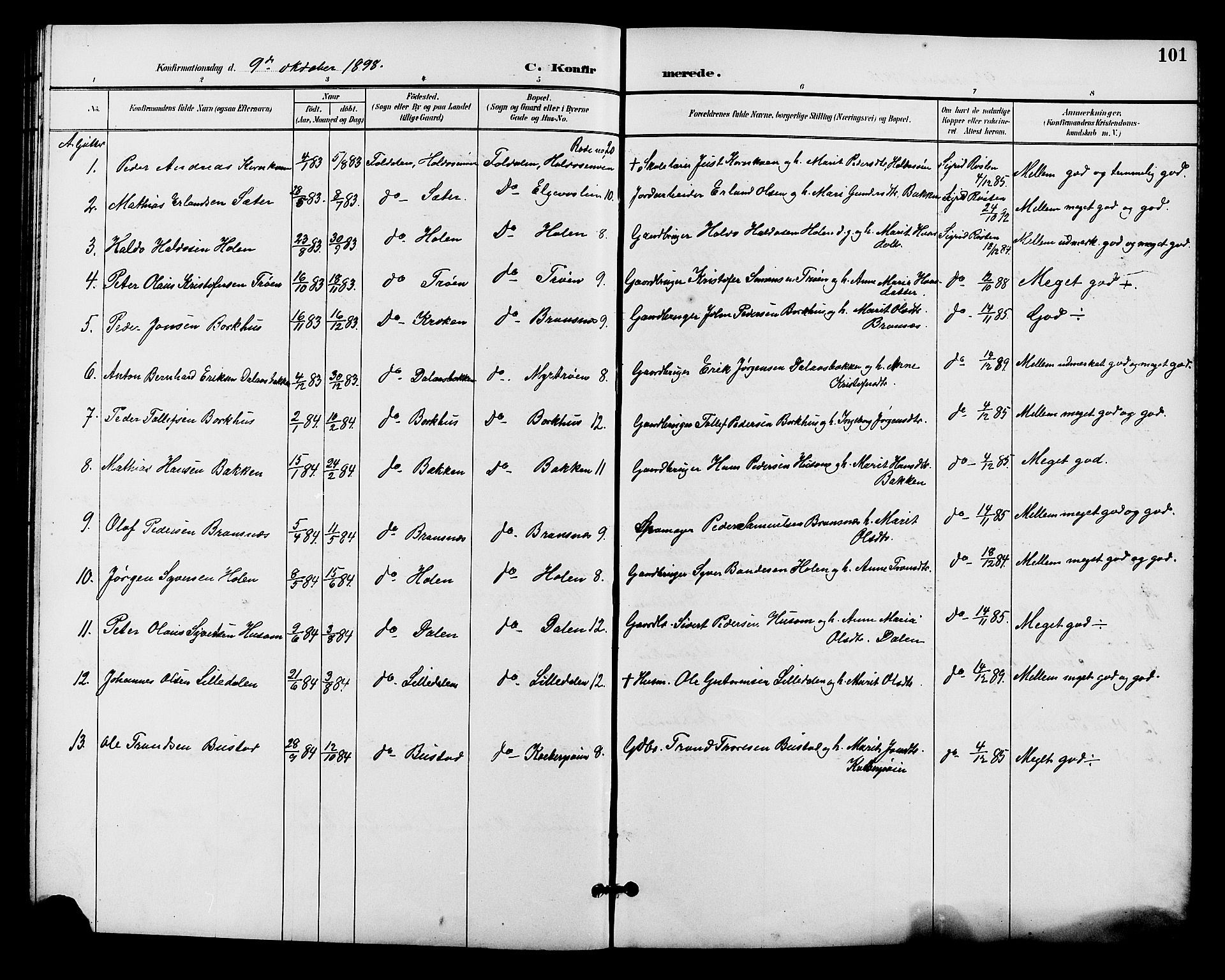Alvdal prestekontor, SAH/PREST-060/H/Ha/Hab/L0004: Parish register (copy) no. 4, 1894-1910, p. 101