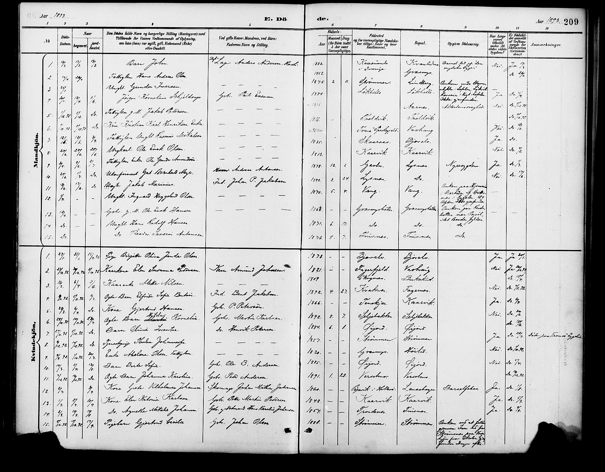 Lenvik sokneprestembete, SATØ/S-1310/H/Ha/Haa/L0013kirke: Parish register (official) no. 13, 1890-1898, p. 209