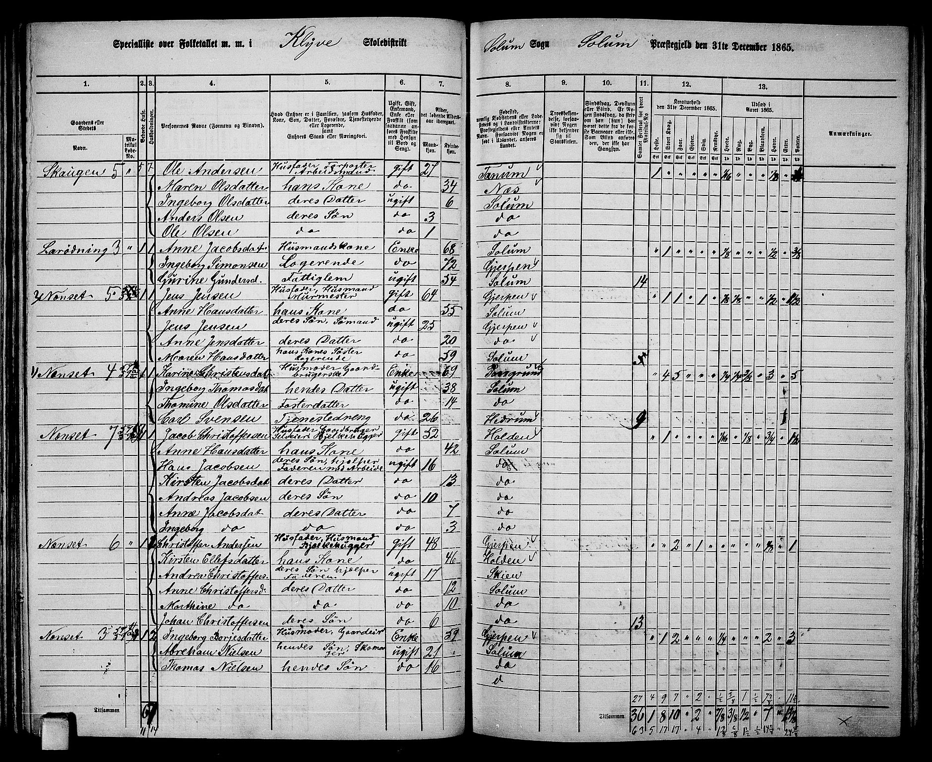 RA, 1865 census for Solum, 1865, p. 72