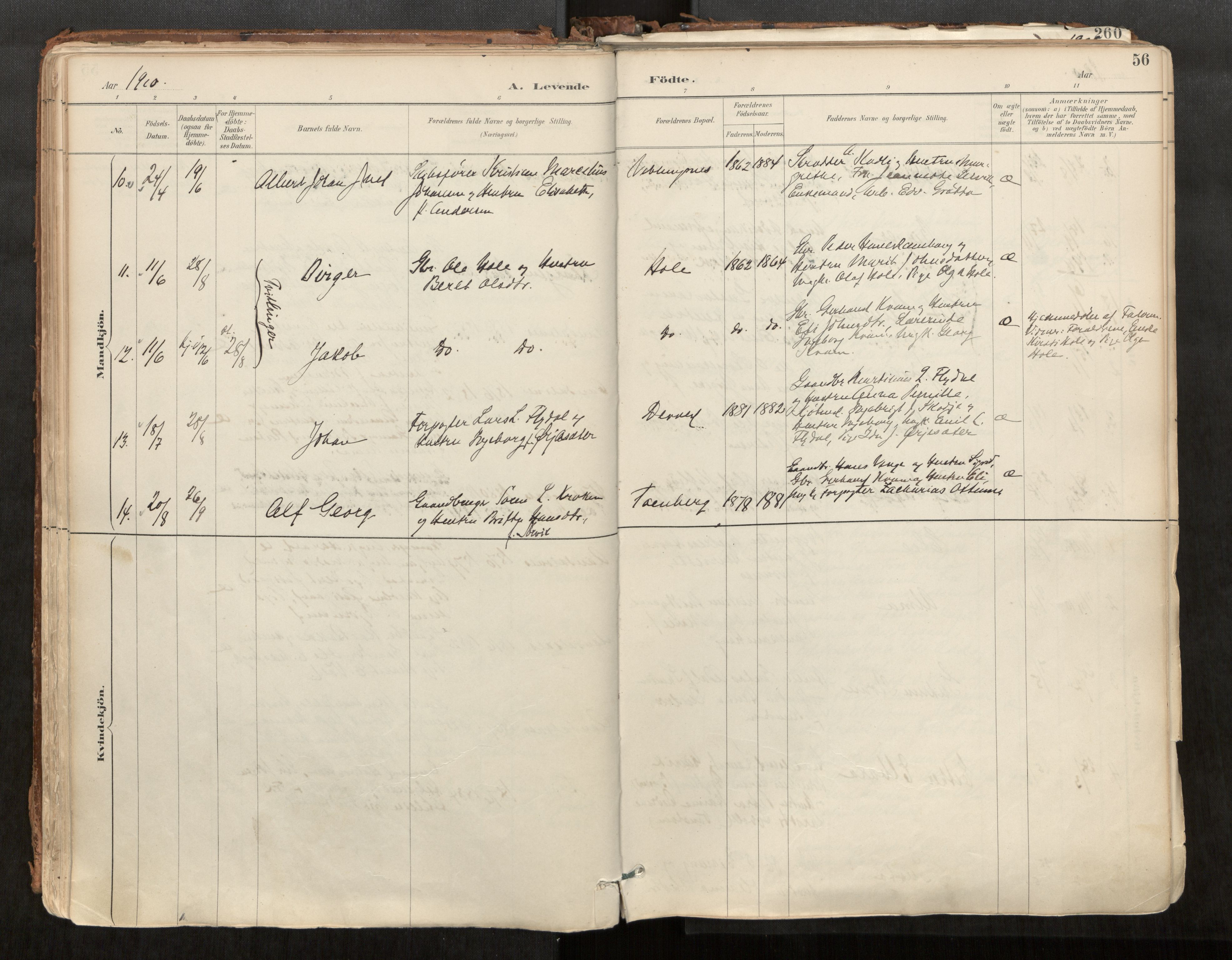 Ministerialprotokoller, klokkerbøker og fødselsregistre - Møre og Romsdal, AV/SAT-A-1454/544/L0585: Parish register (official) no. 544A06, 1887-1924, p. 56