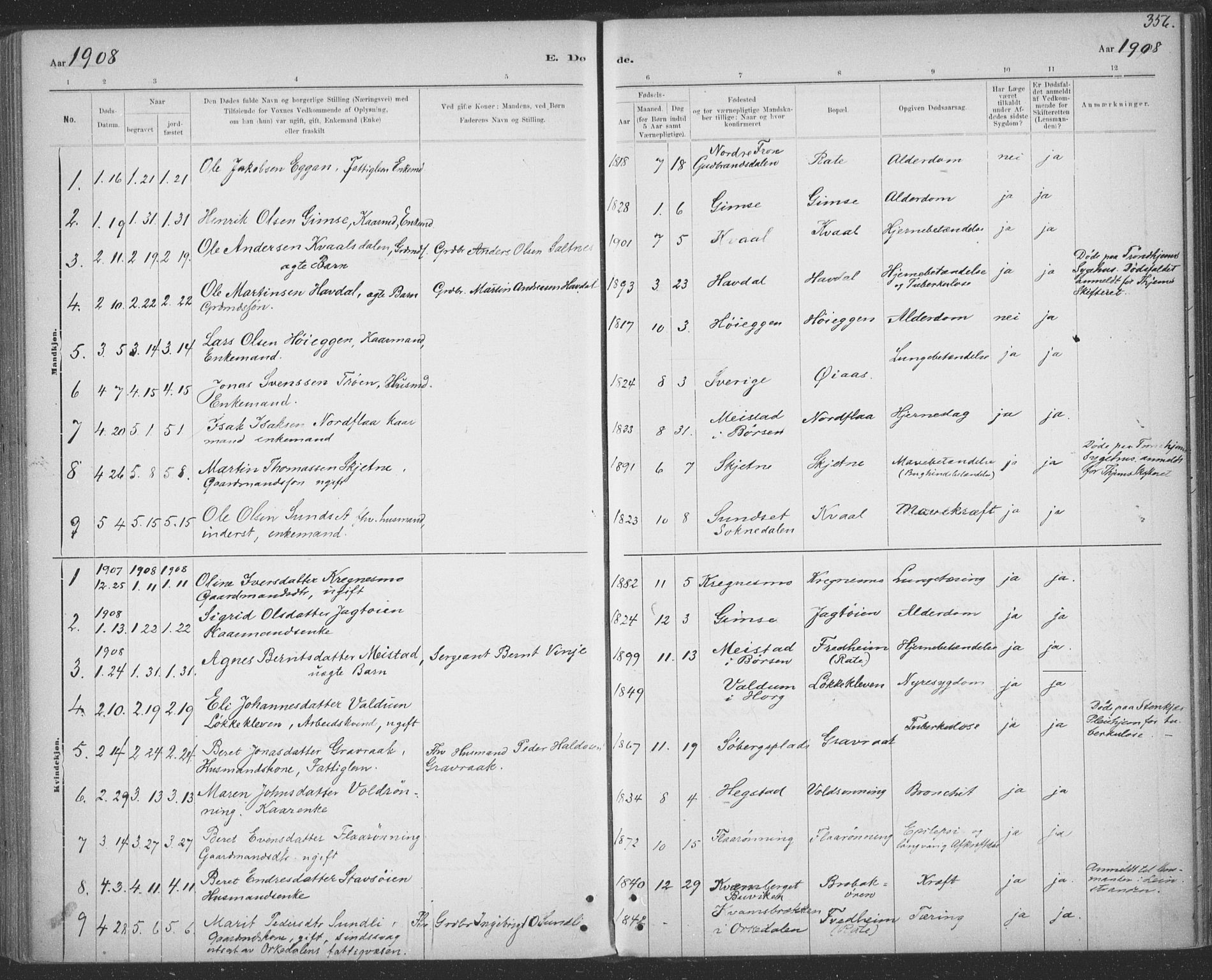 Ministerialprotokoller, klokkerbøker og fødselsregistre - Sør-Trøndelag, SAT/A-1456/691/L1085: Parish register (official) no. 691A17, 1887-1908, p. 356