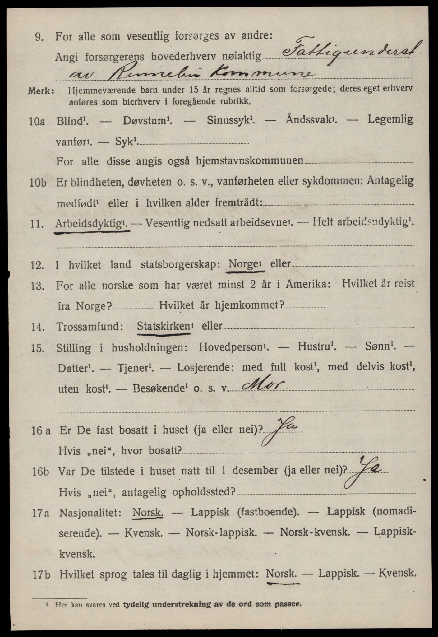 SAT, 1920 census for Rennebu, 1920, p. 5833