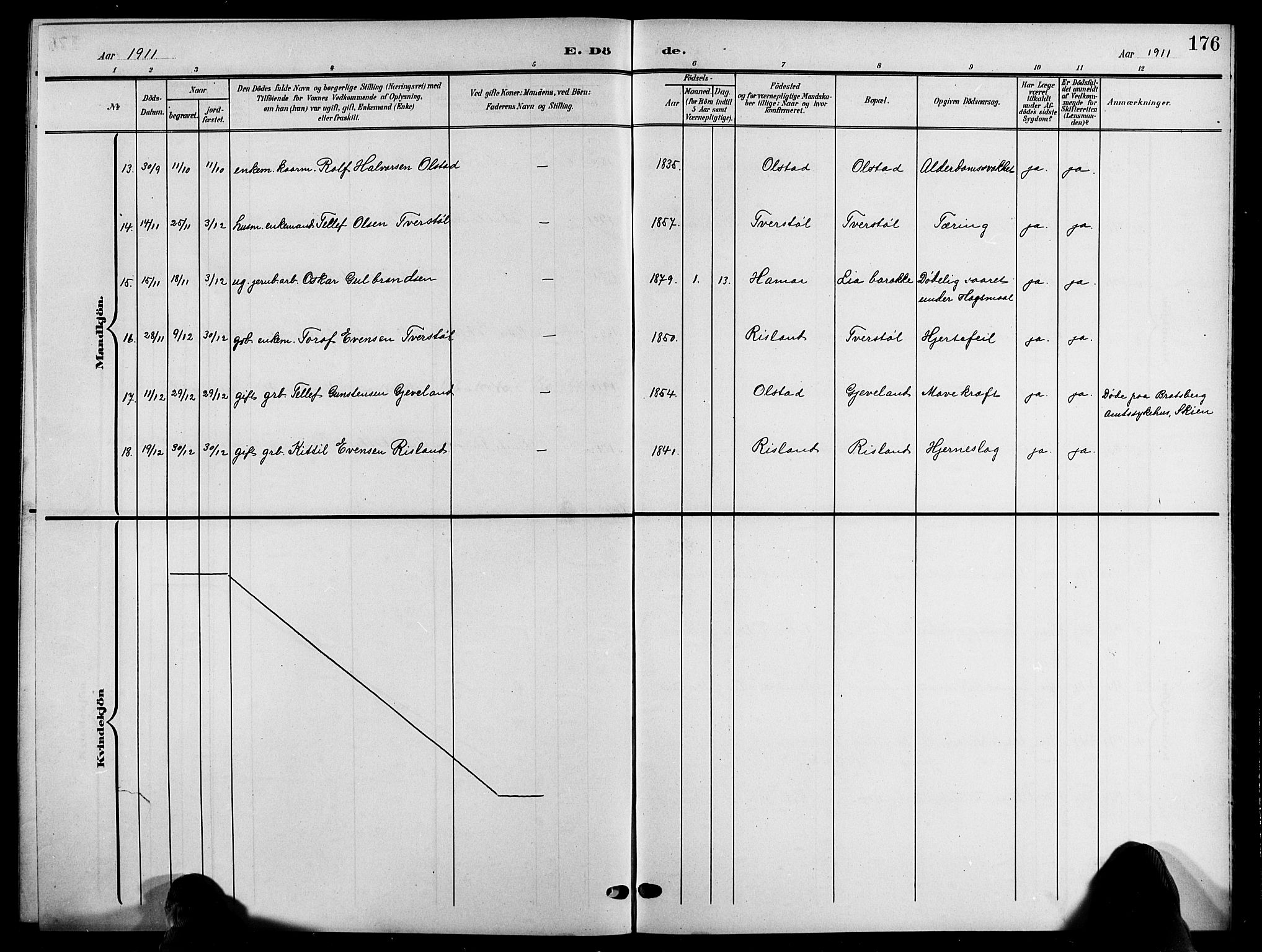 Åmli sokneprestkontor, SAK/1111-0050/F/Fb/Fbc/L0005: Parish register (copy) no. B 5, 1903-1916, p. 176