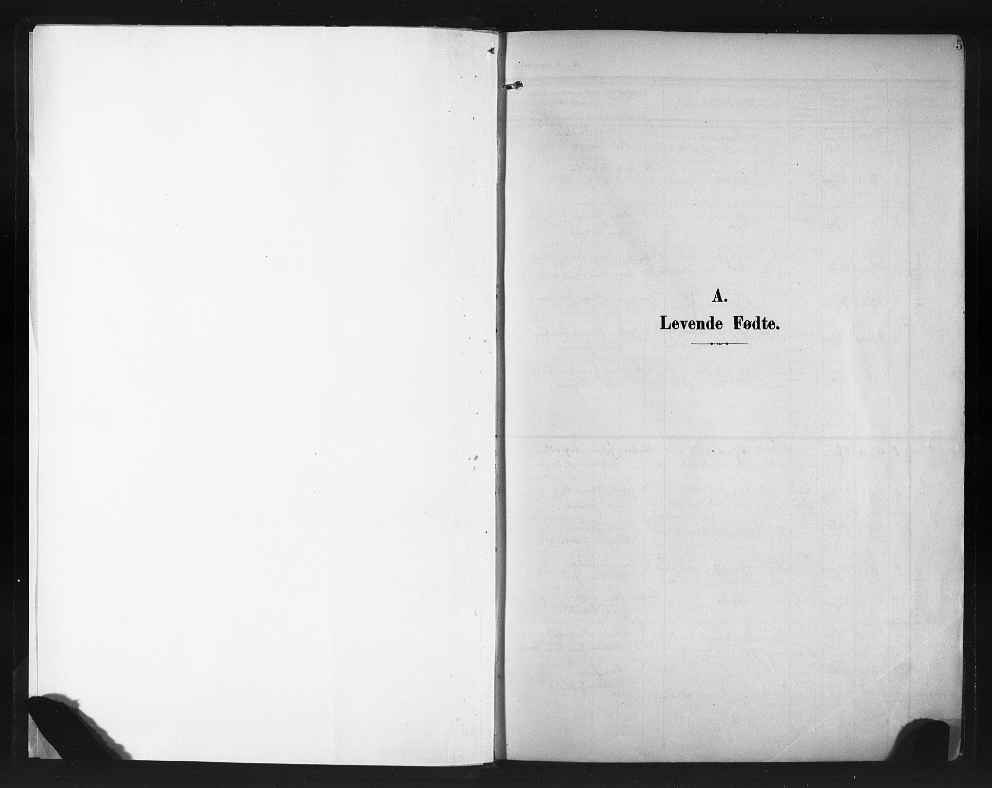Hetland sokneprestkontor, SAST/A-101826/30/30BA/L0013: Parish register (official) no. A 13, 1904-1918, p. 5