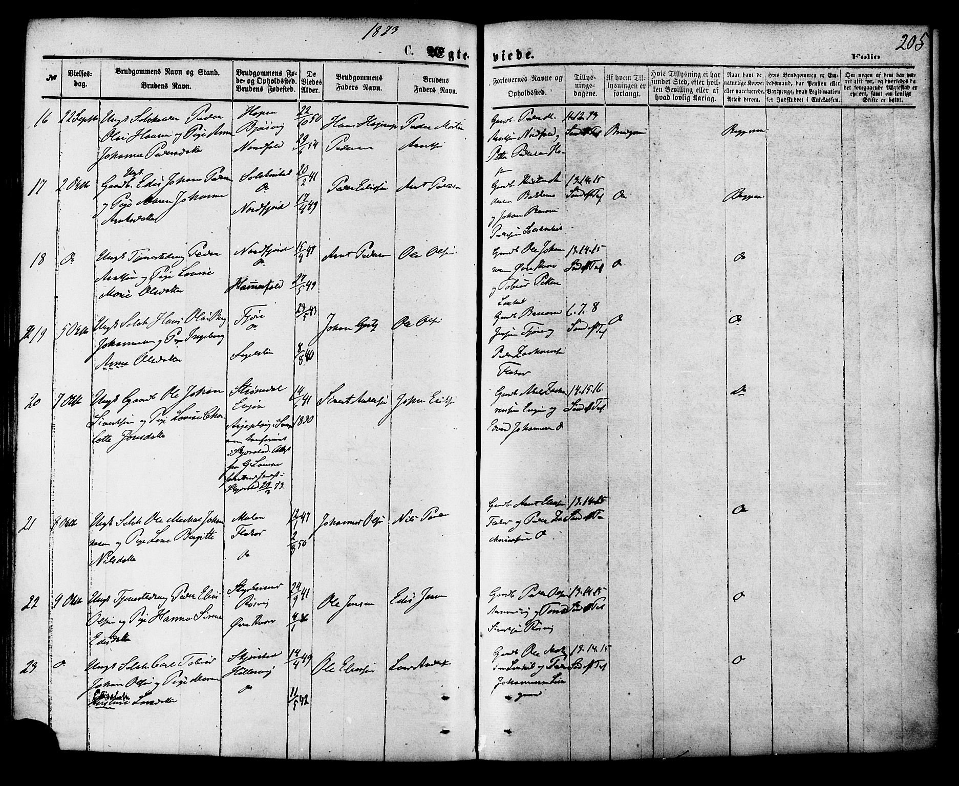 Ministerialprotokoller, klokkerbøker og fødselsregistre - Nordland, AV/SAT-A-1459/853/L0771: Parish register (official) no. 853A10, 1870-1881, p. 205