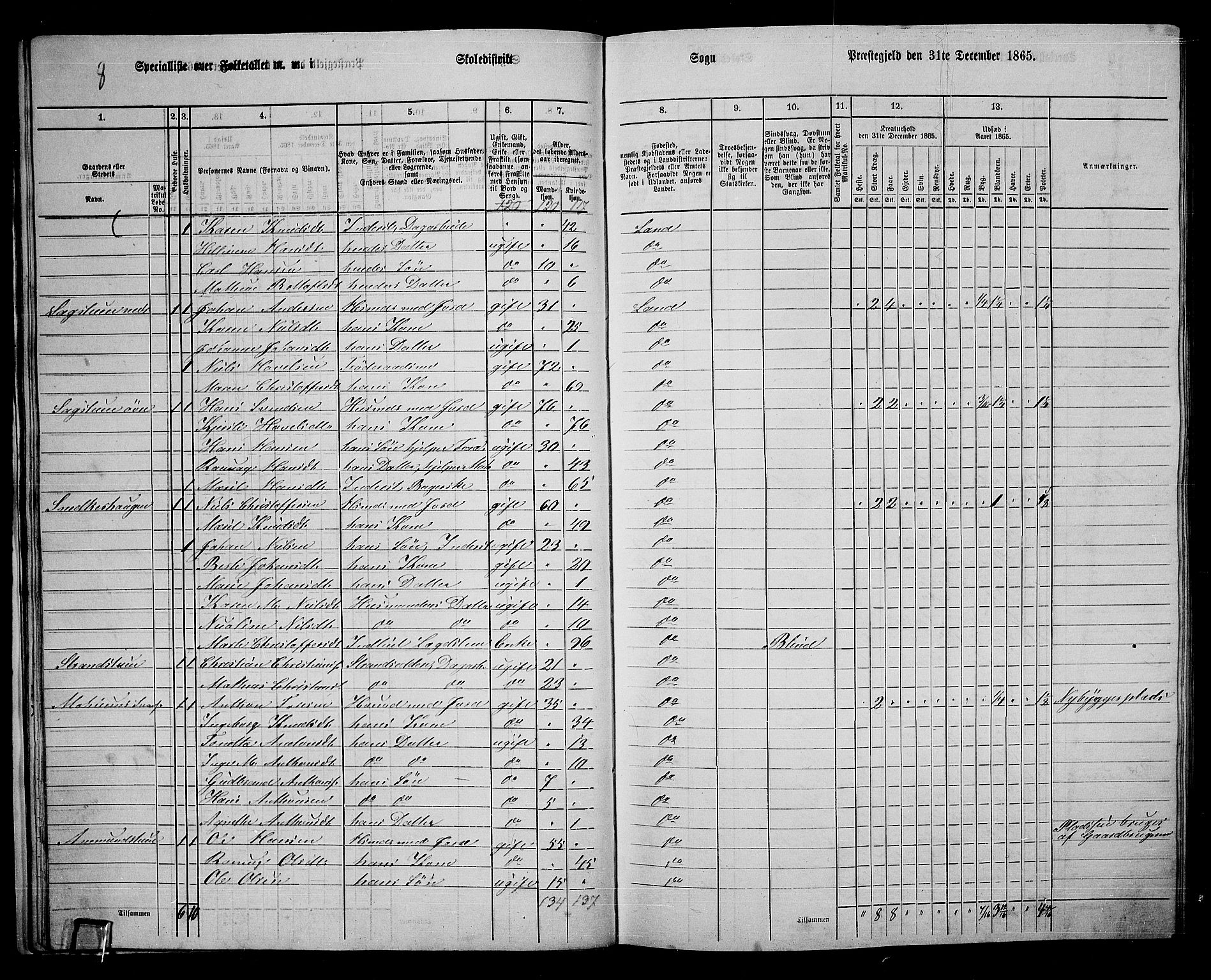 RA, 1865 census for Land, 1865, p. 238