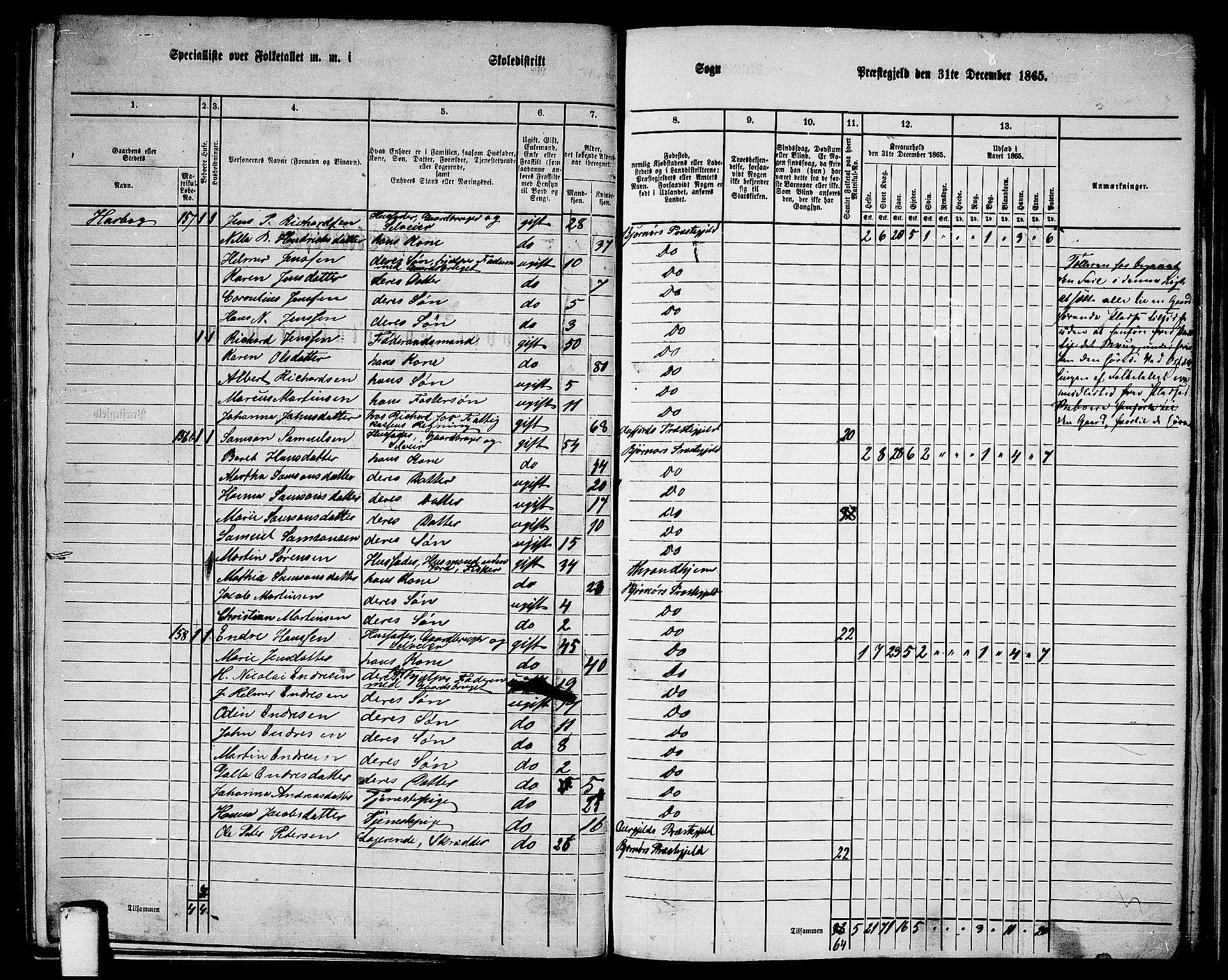 RA, 1865 census for Bjørnør, 1865, p. 115