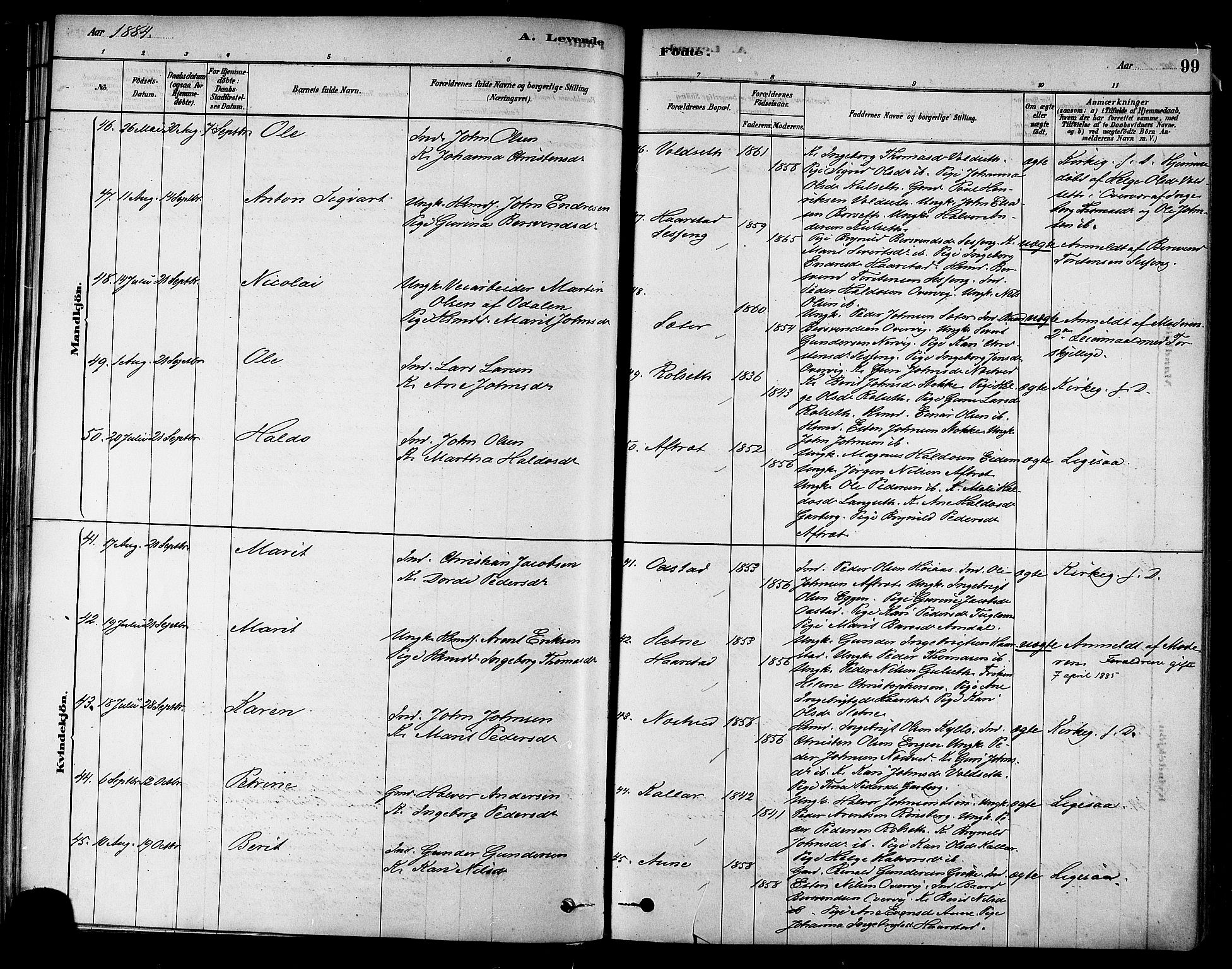 Ministerialprotokoller, klokkerbøker og fødselsregistre - Sør-Trøndelag, AV/SAT-A-1456/695/L1148: Parish register (official) no. 695A08, 1878-1891, p. 99